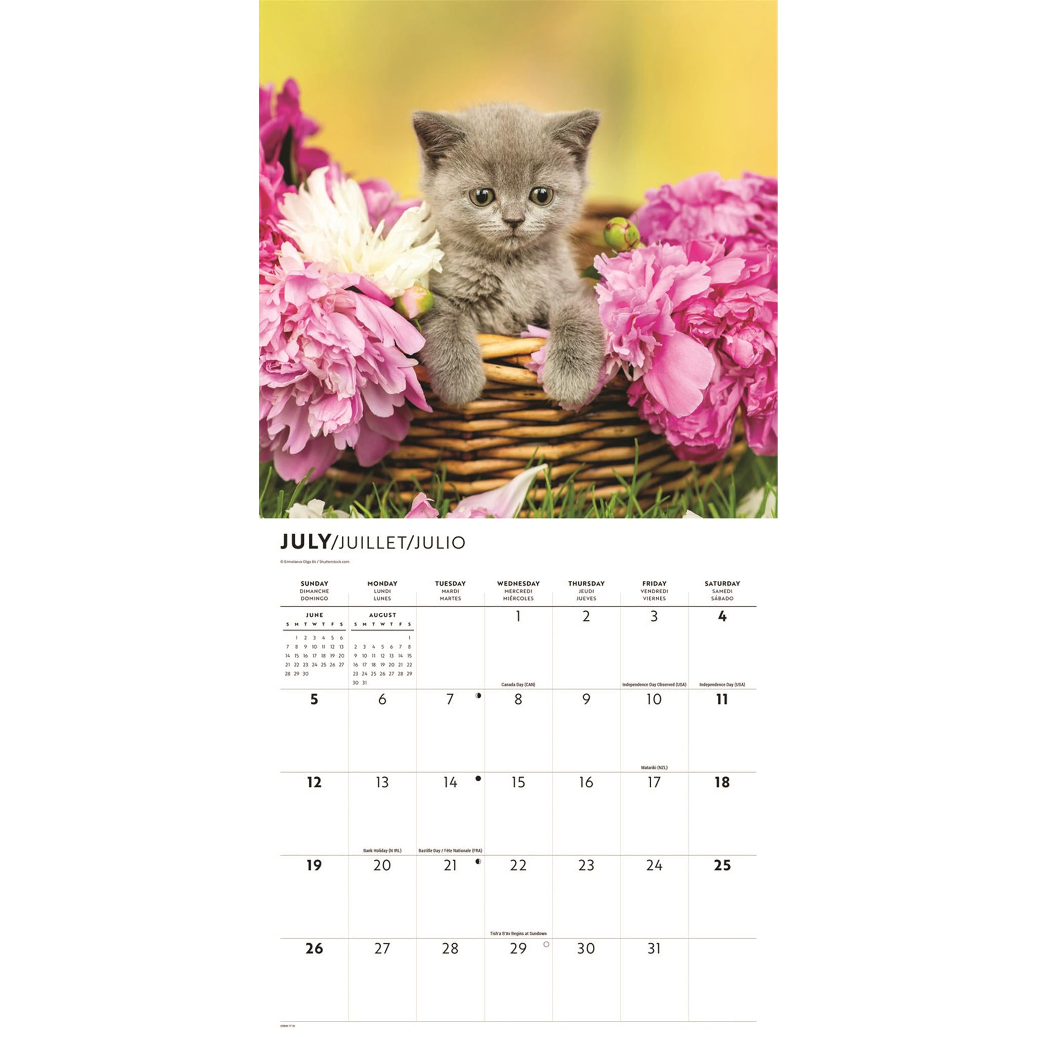 Cute Kittens 2026 Wall Calendar