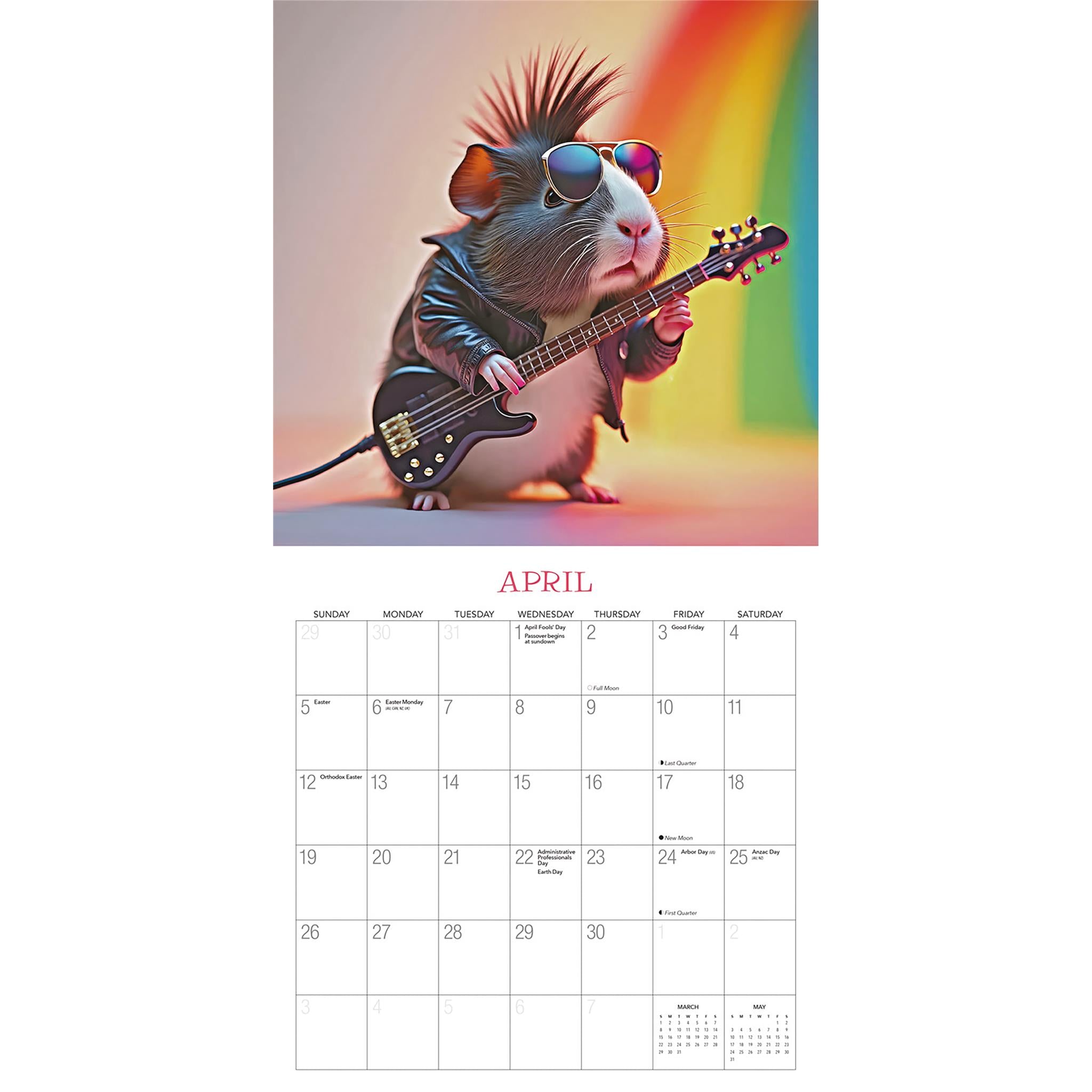 Les cochons d'Inde règnent ! Calendrier mural 2026