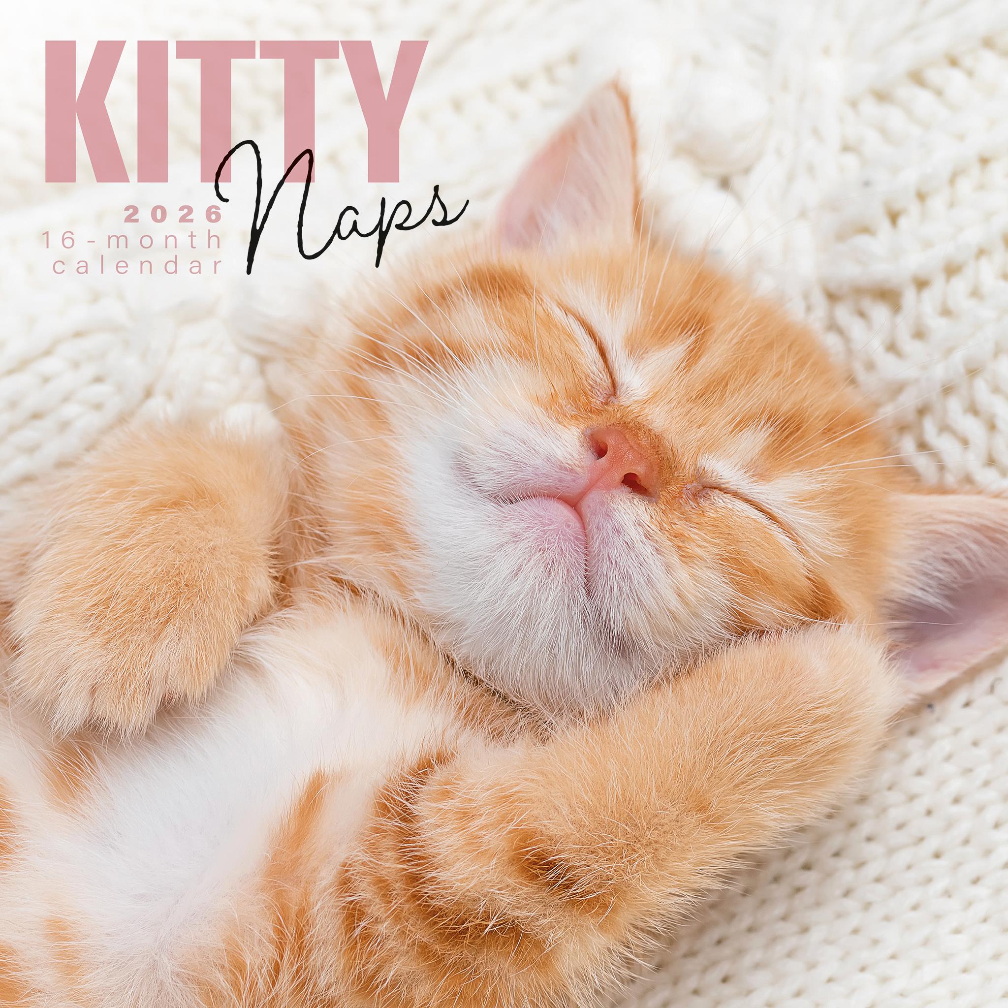 Calendrier mural Kitty Naps 2026