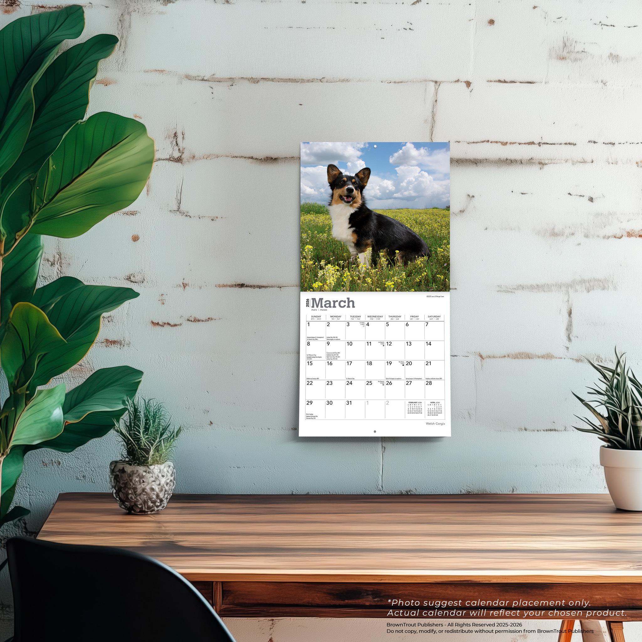 Welsh Corgis 2026 Mini Calendar