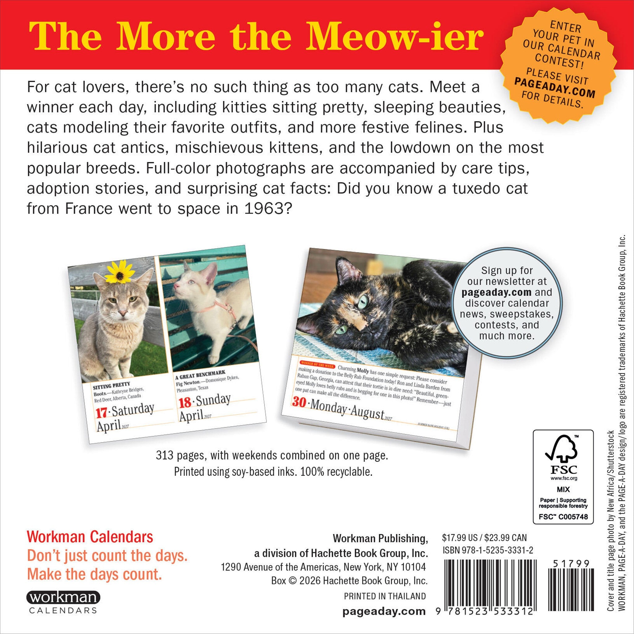 365 Cats 2027 Box Calendar