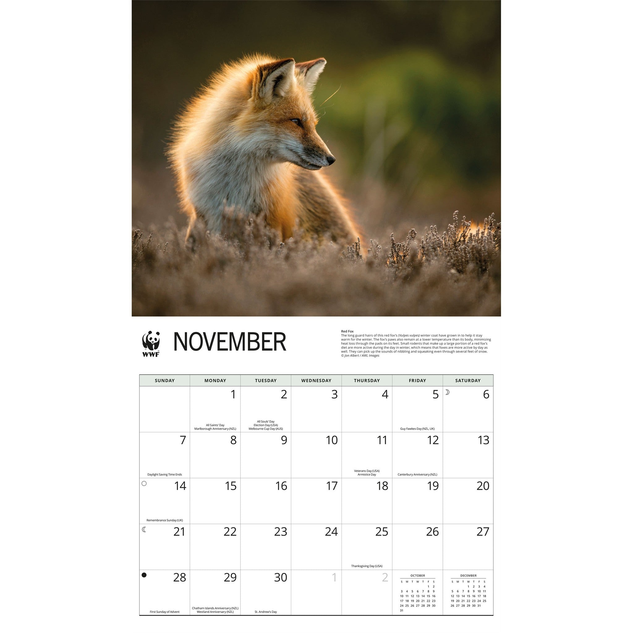 Calendrier mural 2027 Renards du Fonds mondial pour la nature