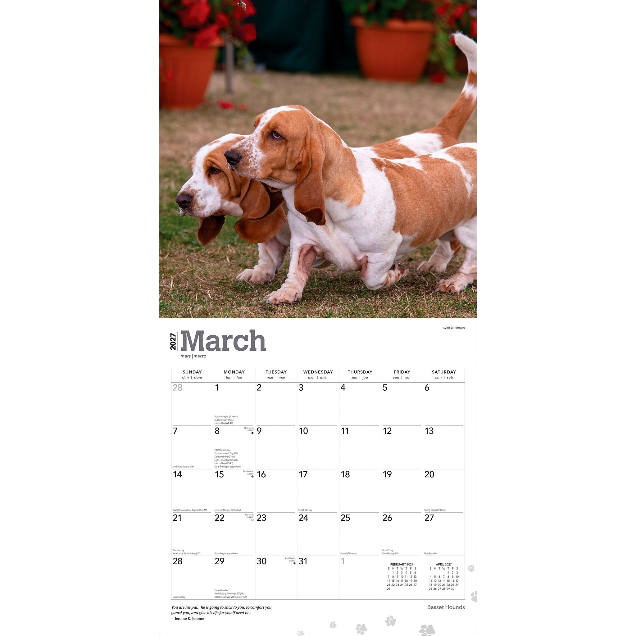 Basset Hounds 2027 Wall Calendar