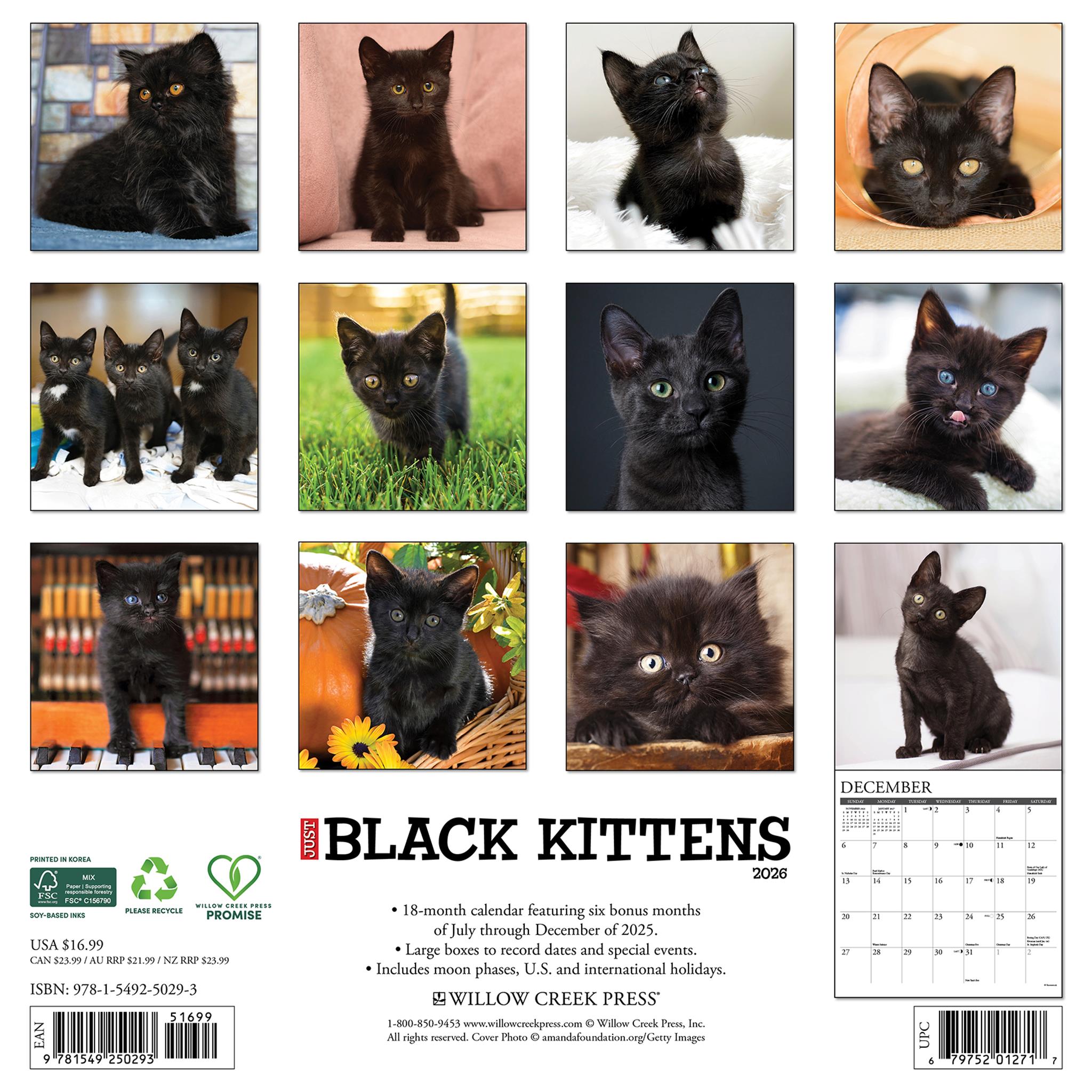 Calendrier mural 2026 « Just Black Kittens » - Disponible uniquement en ligne