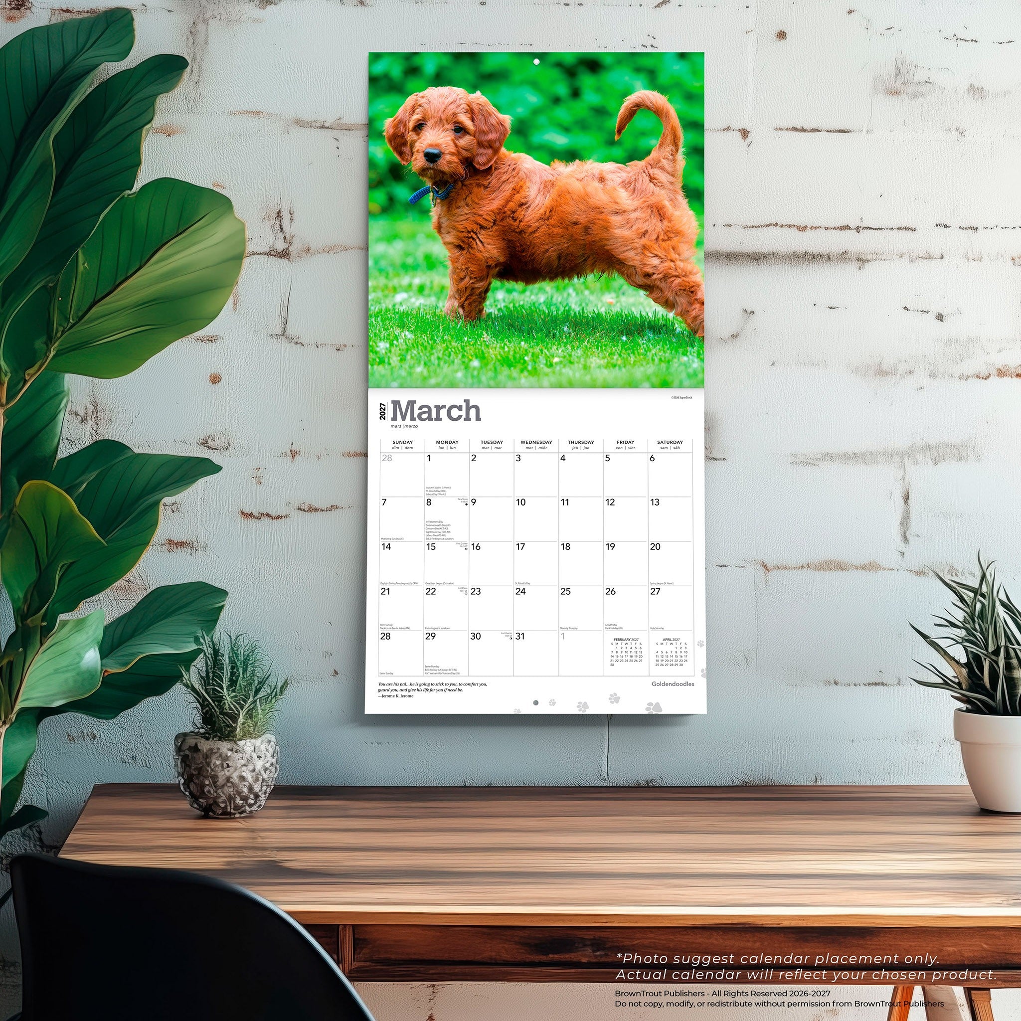 Goldendoodles 2027 Wall Calendar