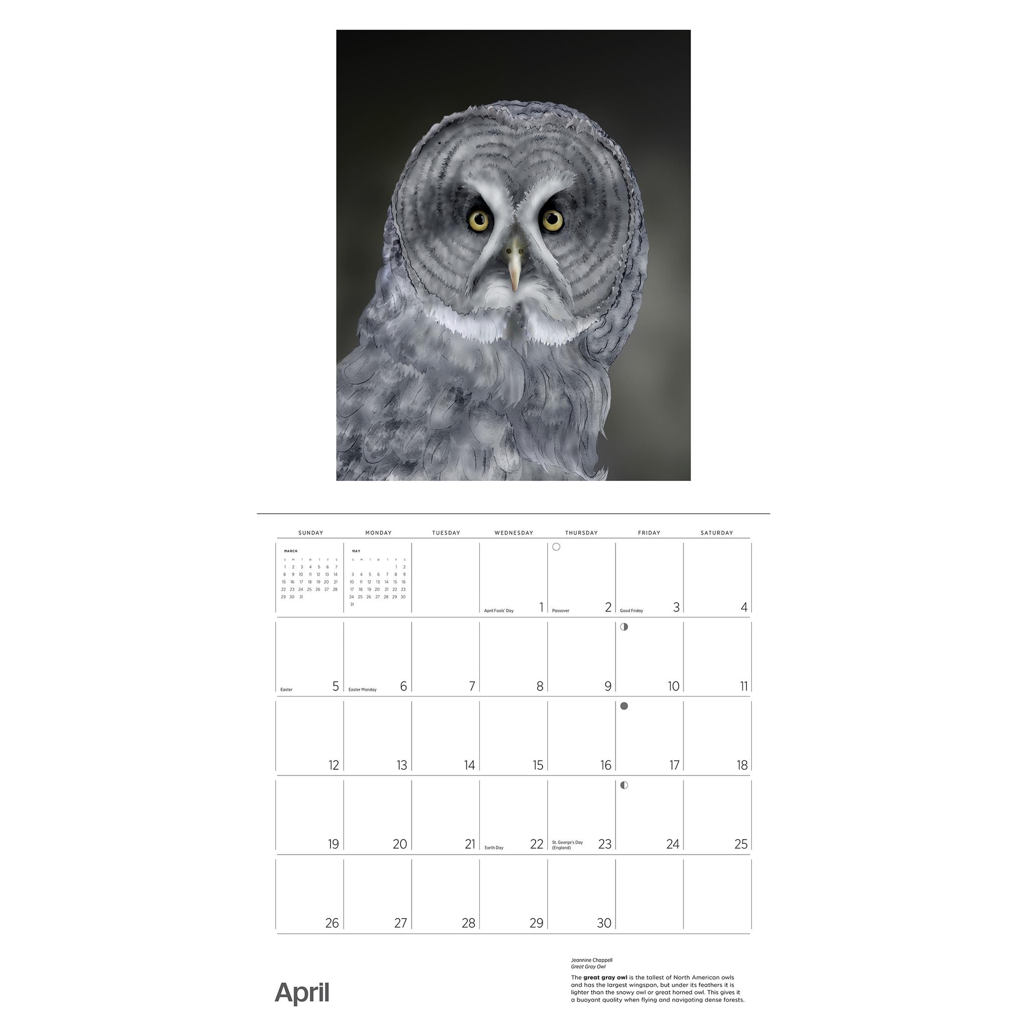 Calendrier mural 2026 de Jeannine Chappell et les hiboux