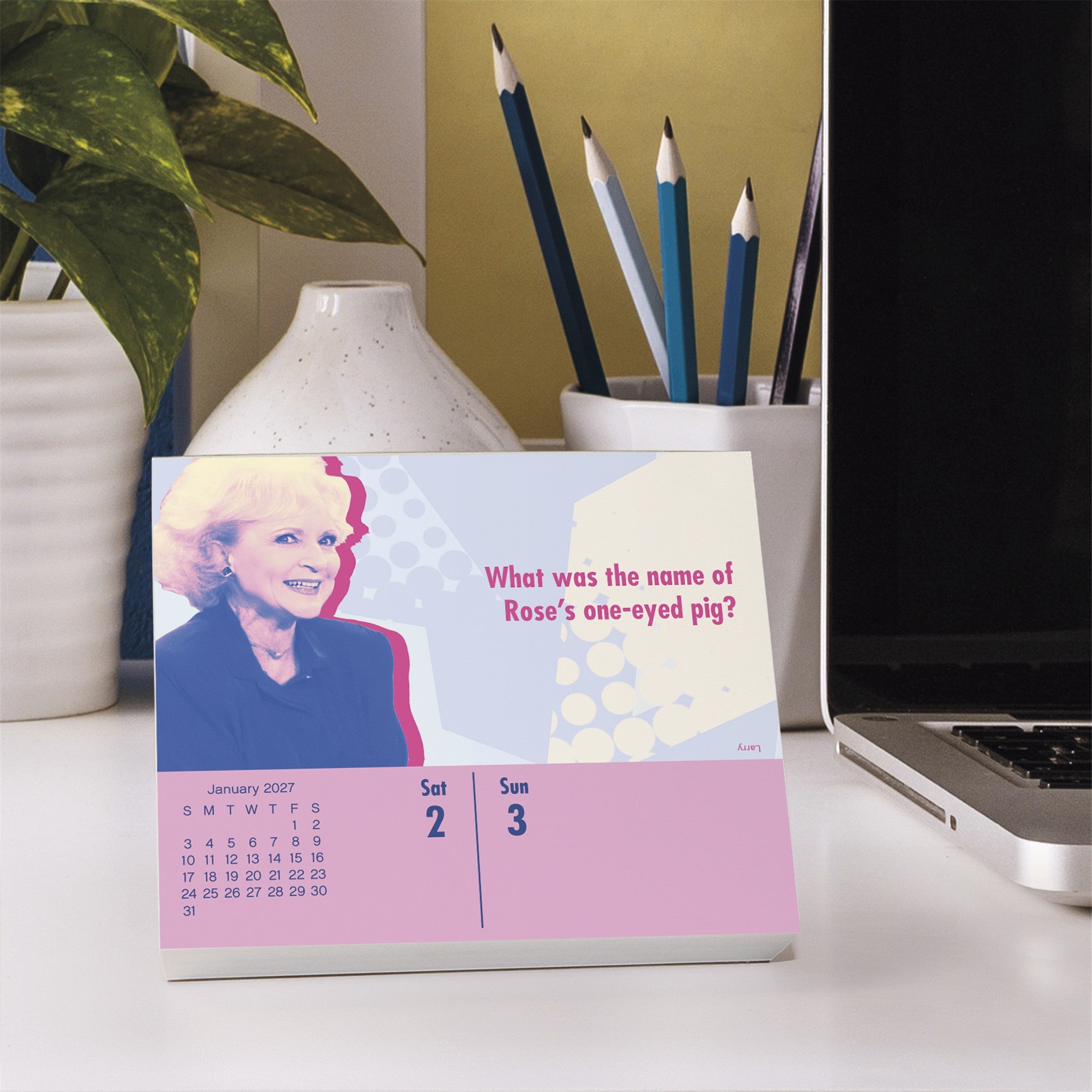 The Golden Girls 2027 Box Calendar