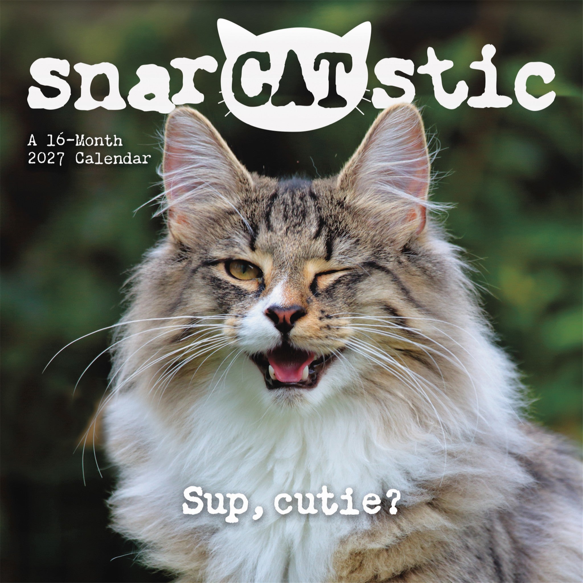 Snarcatstic 2027 Wall Calendar - Online Only