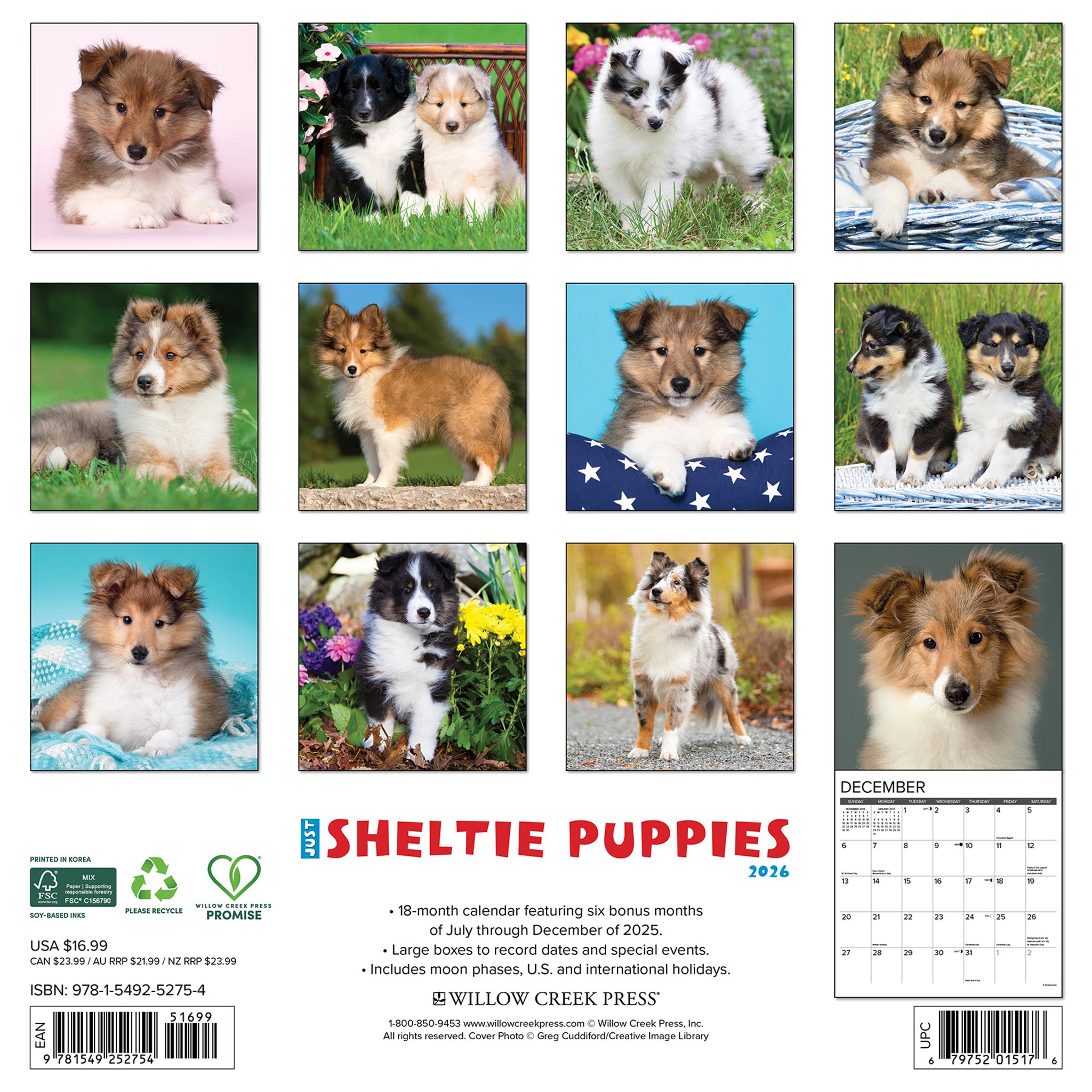 Calendrier mural 2026 « Just Sheltie Puppies » - Disponible uniquement en ligne