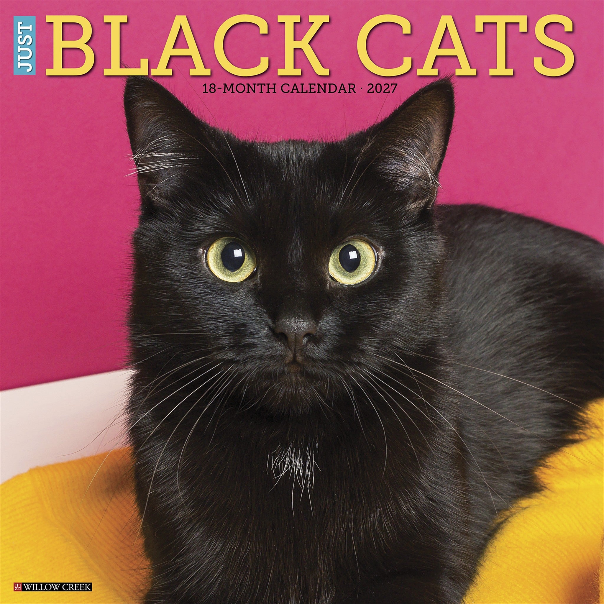 Black Cats 2027 Wall Calendar