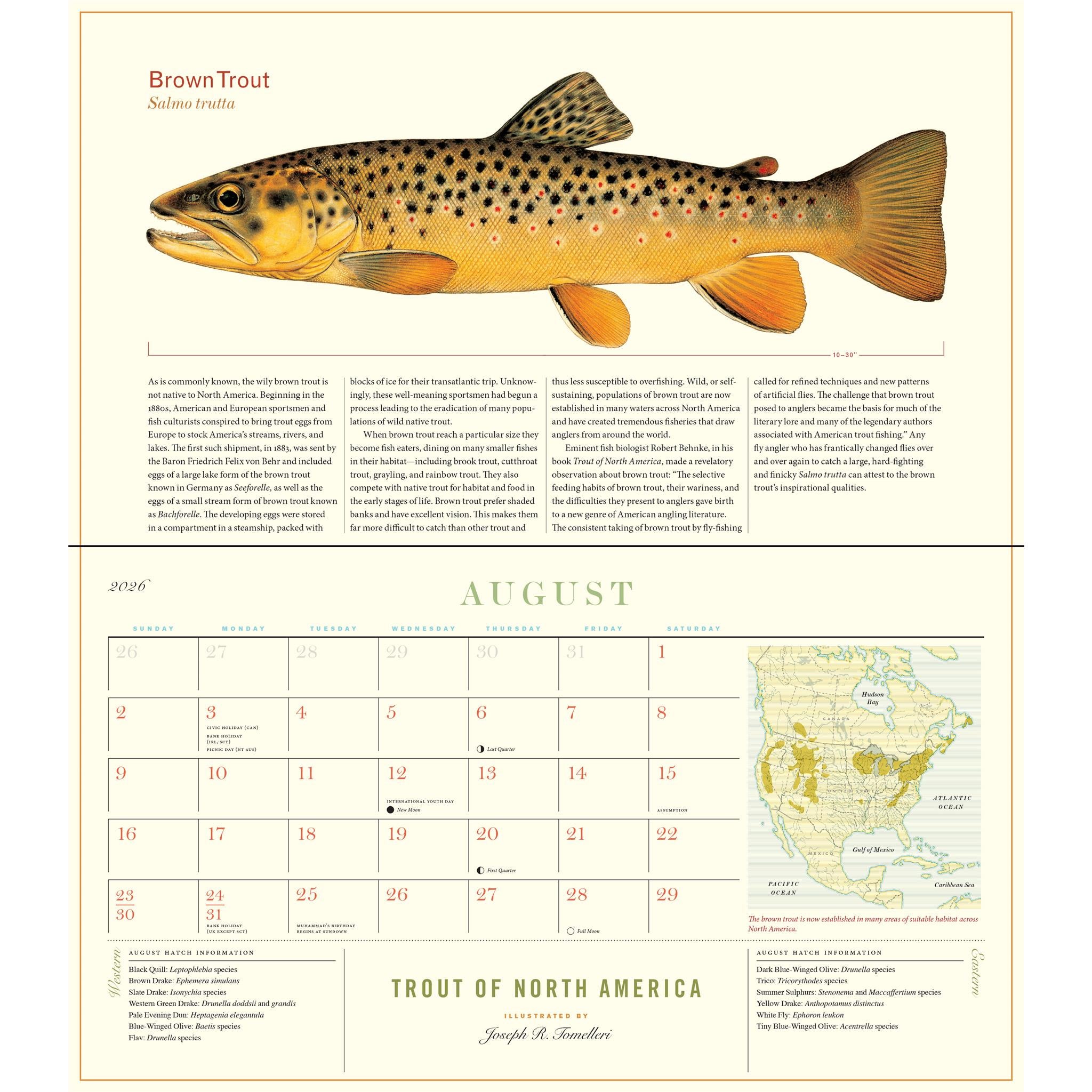 Calendrier mural Truite d'Amérique du Nord 2026
