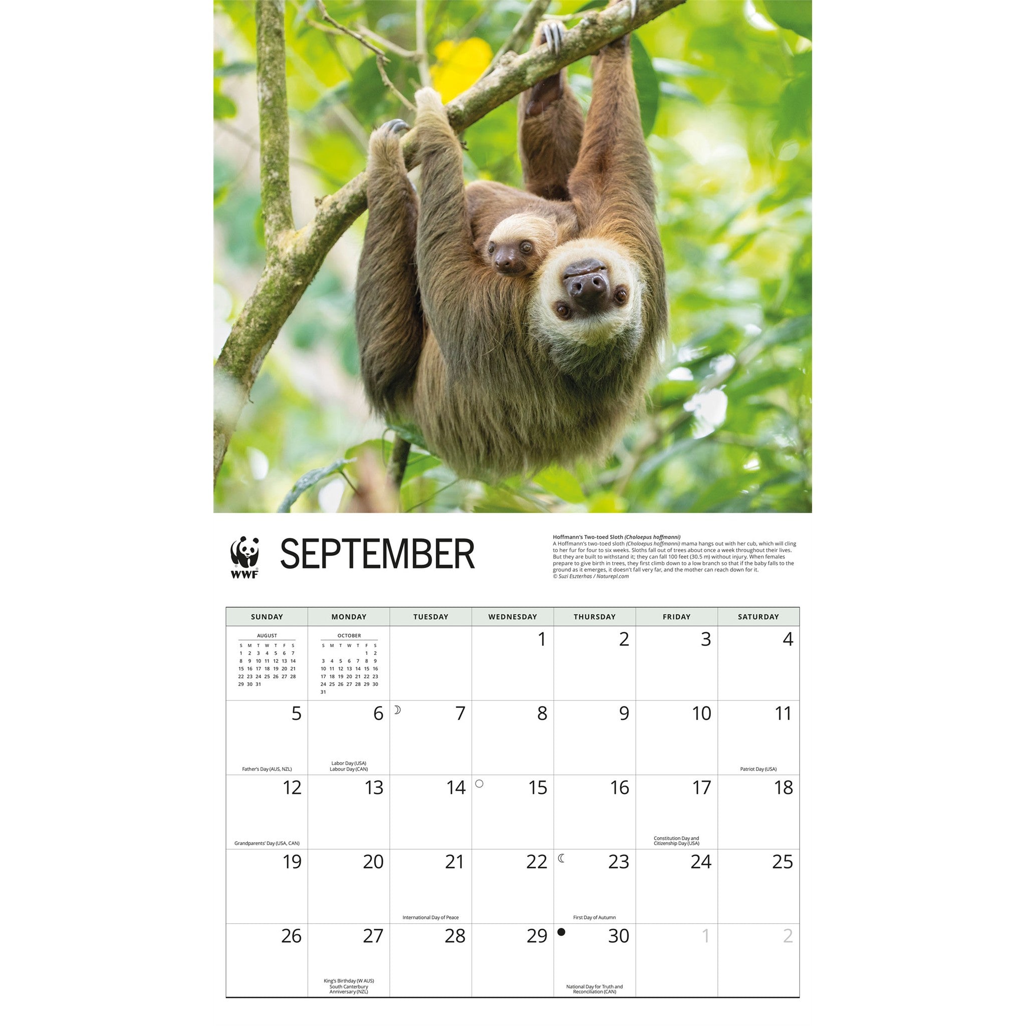 Calendrier Mural Paresseux 2027 du Fonds Mondial pour la Nature