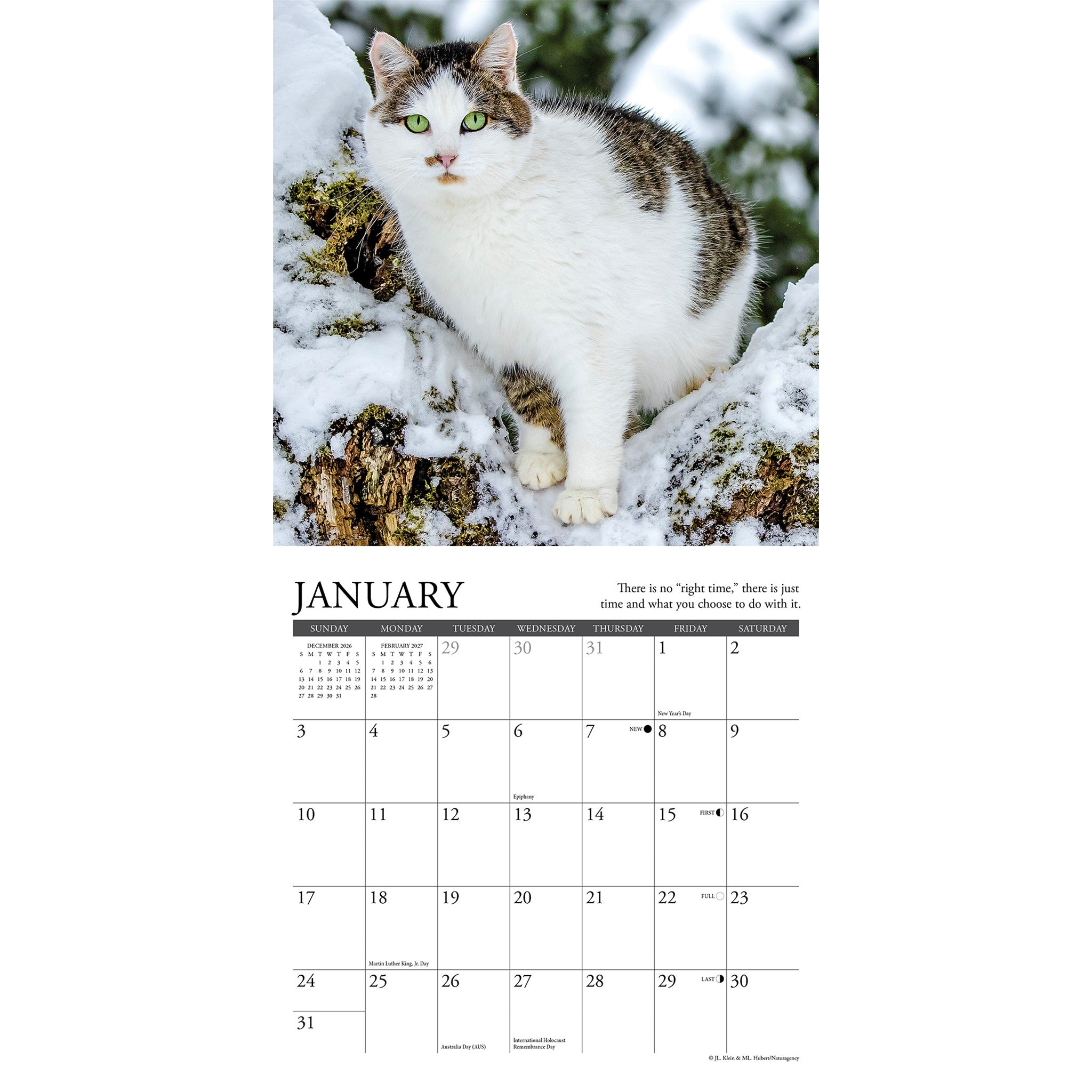 What Cats Teach Us 2027 Mini Calendar