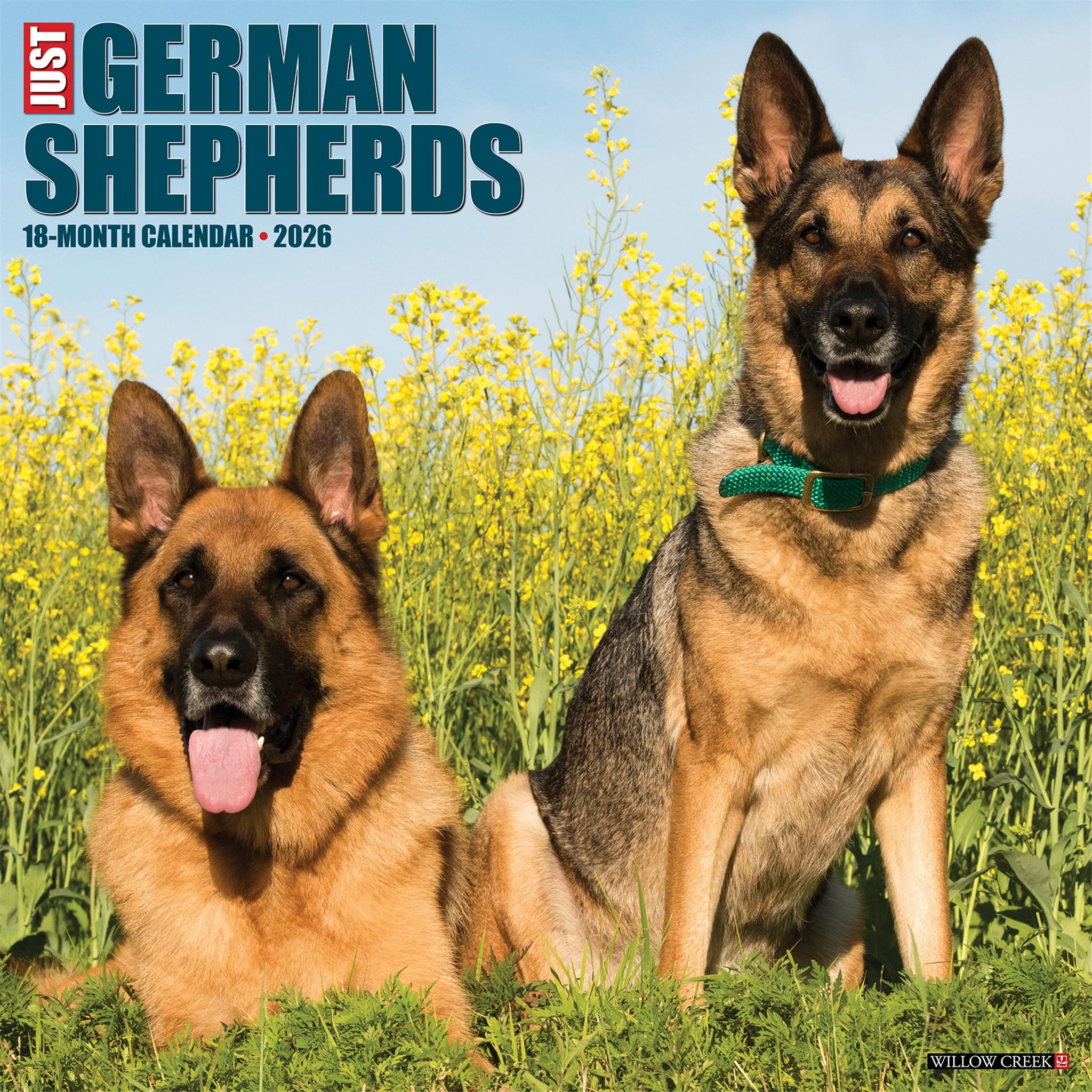 Calendrier mural 2026 Just German Shepherds