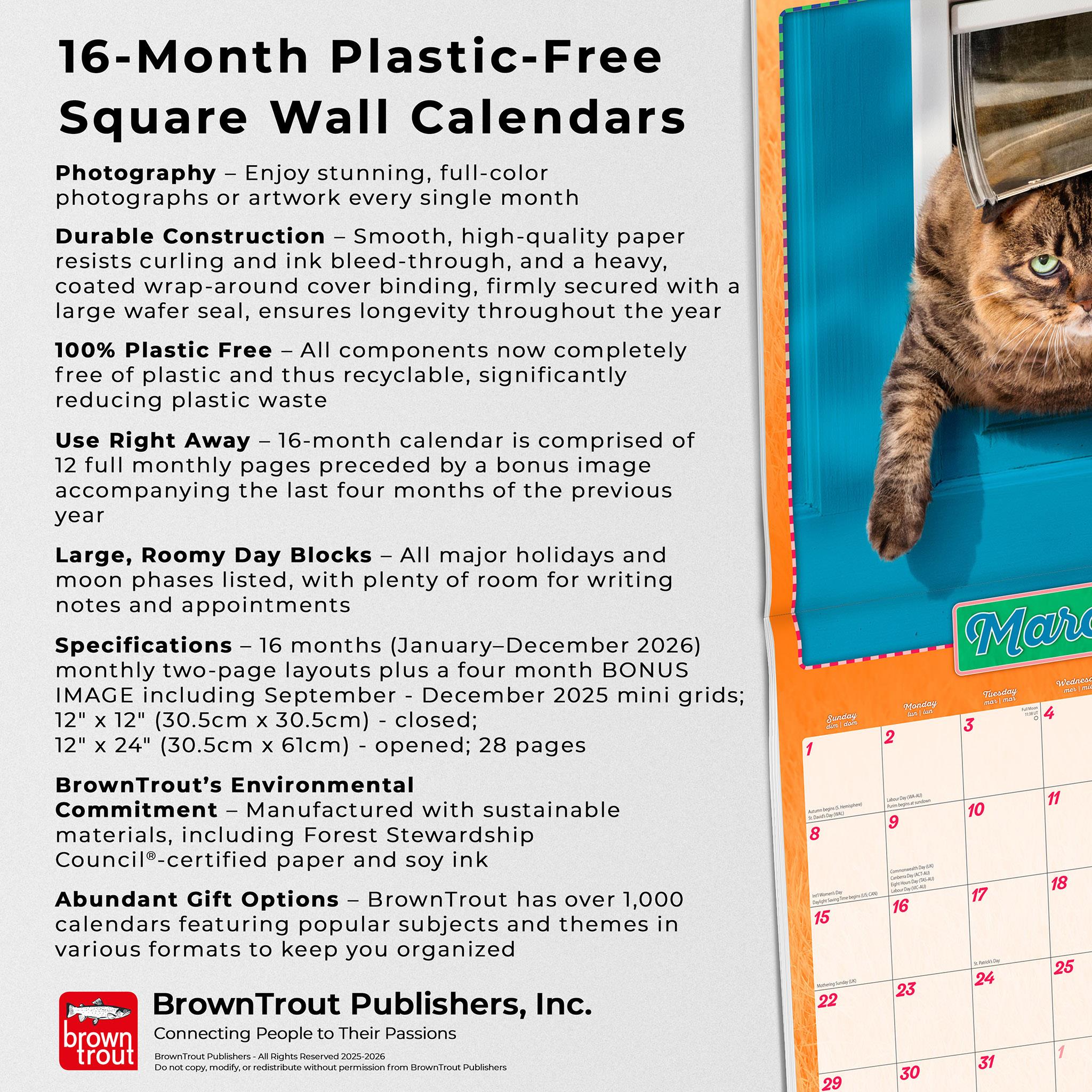 Avanti Cranky Kitties 2026 Wall Calendar - Online Only