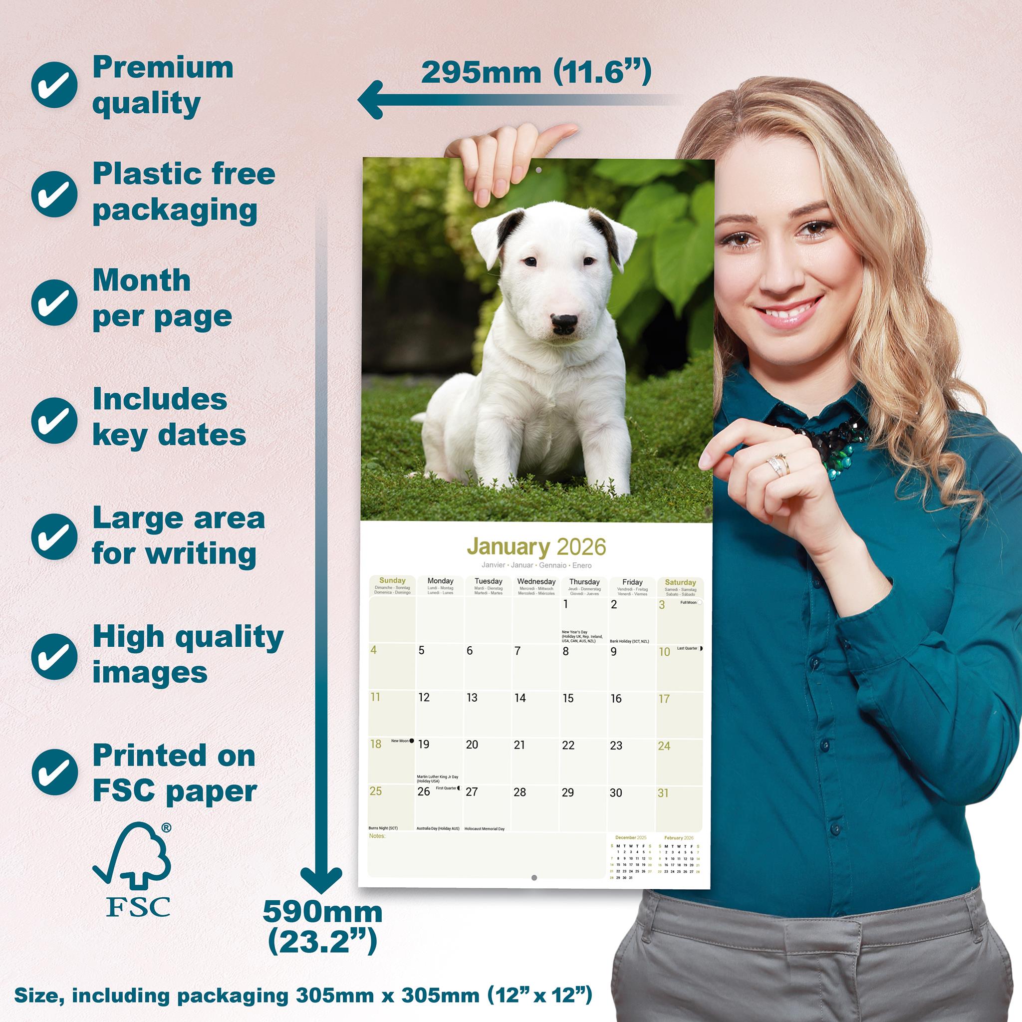 Bull Terriers 2026 Wall Calendar