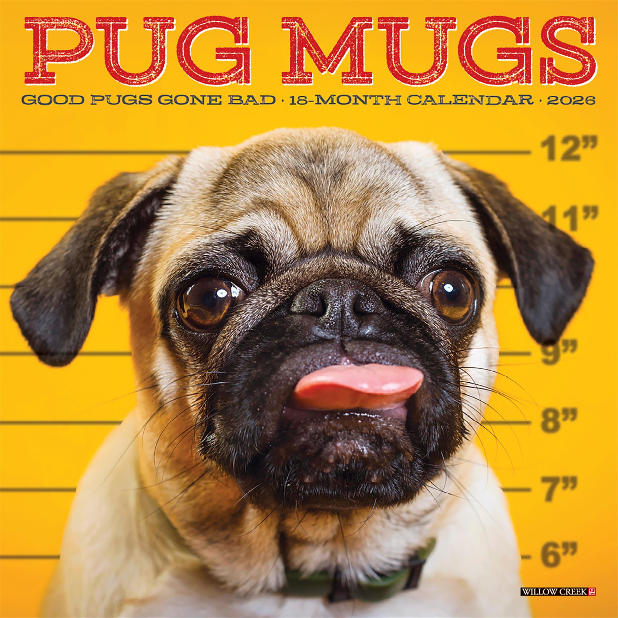 Mini calendrier Pug Mugs 2026
