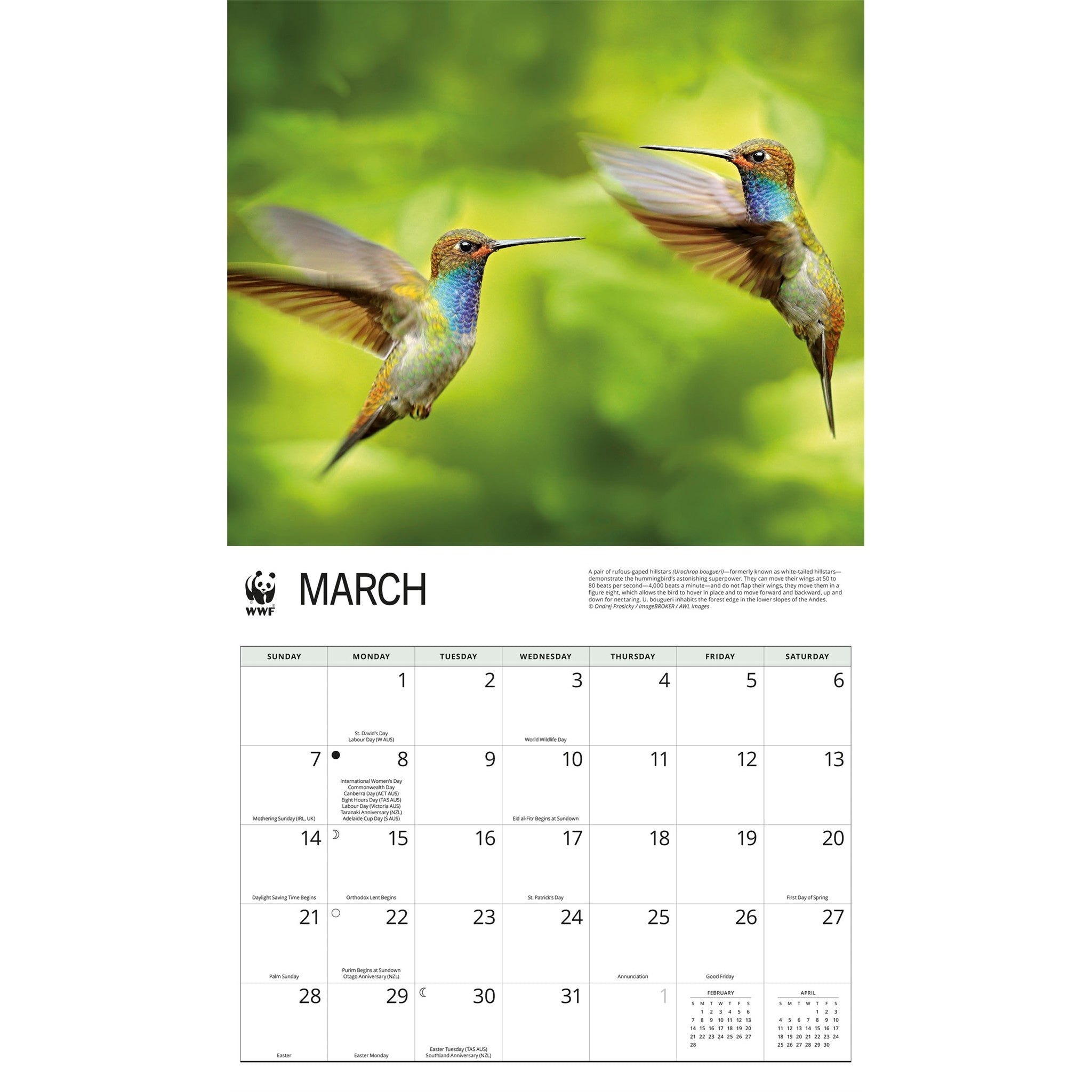 Calendrier mural 2027 Colibris du Fonds mondial pour la nature