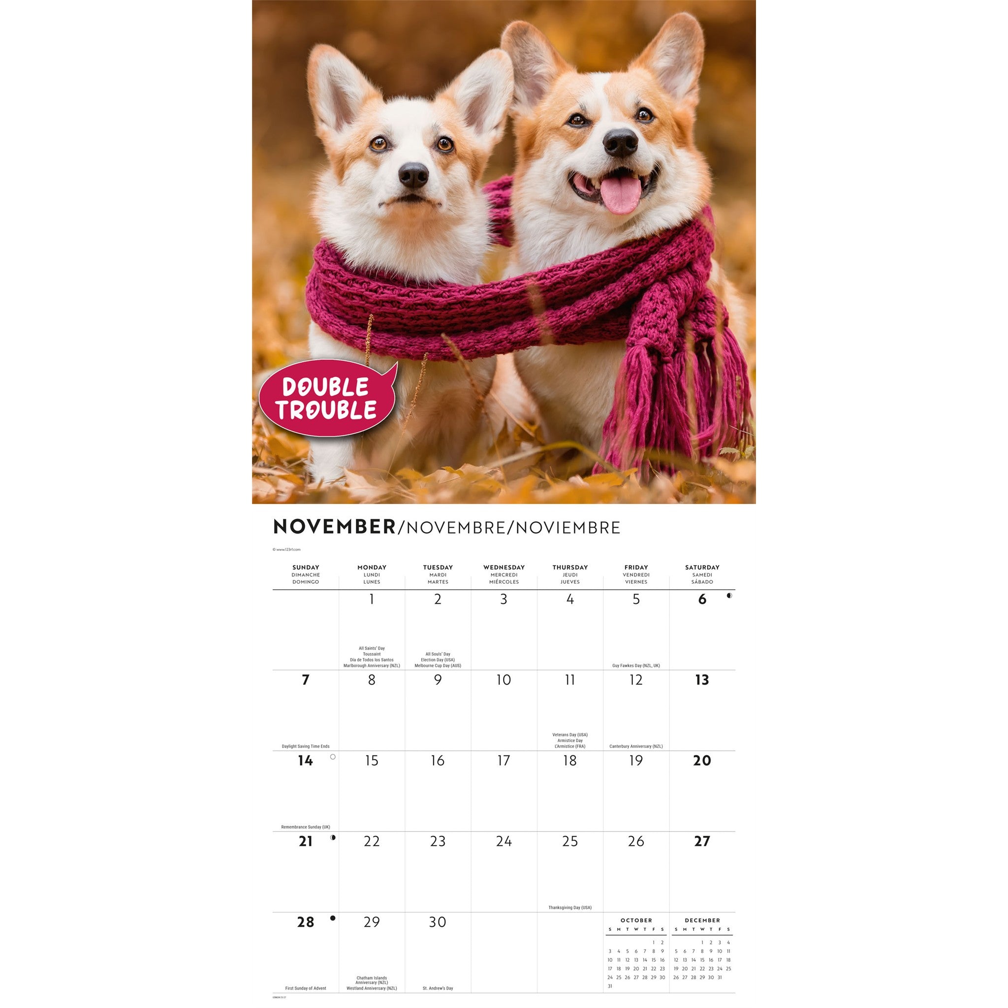 Calendrier mural Corgi Capers 2027