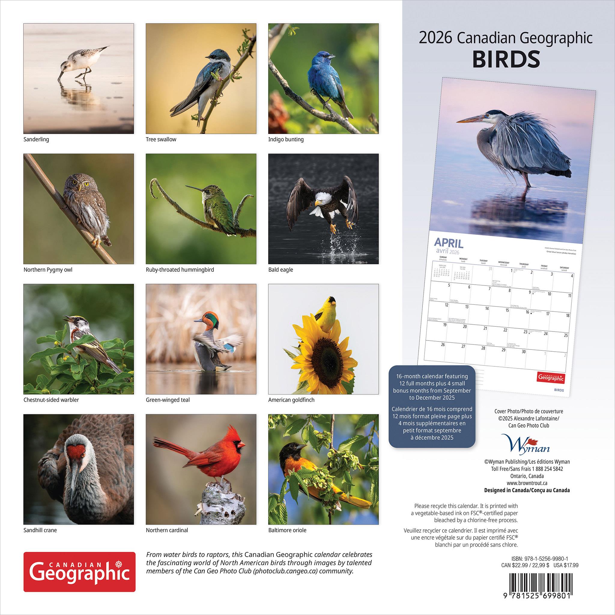 Calendrier mural Oiseaux de Canadian Geographic 2026 - Disponible uniquement en ligne