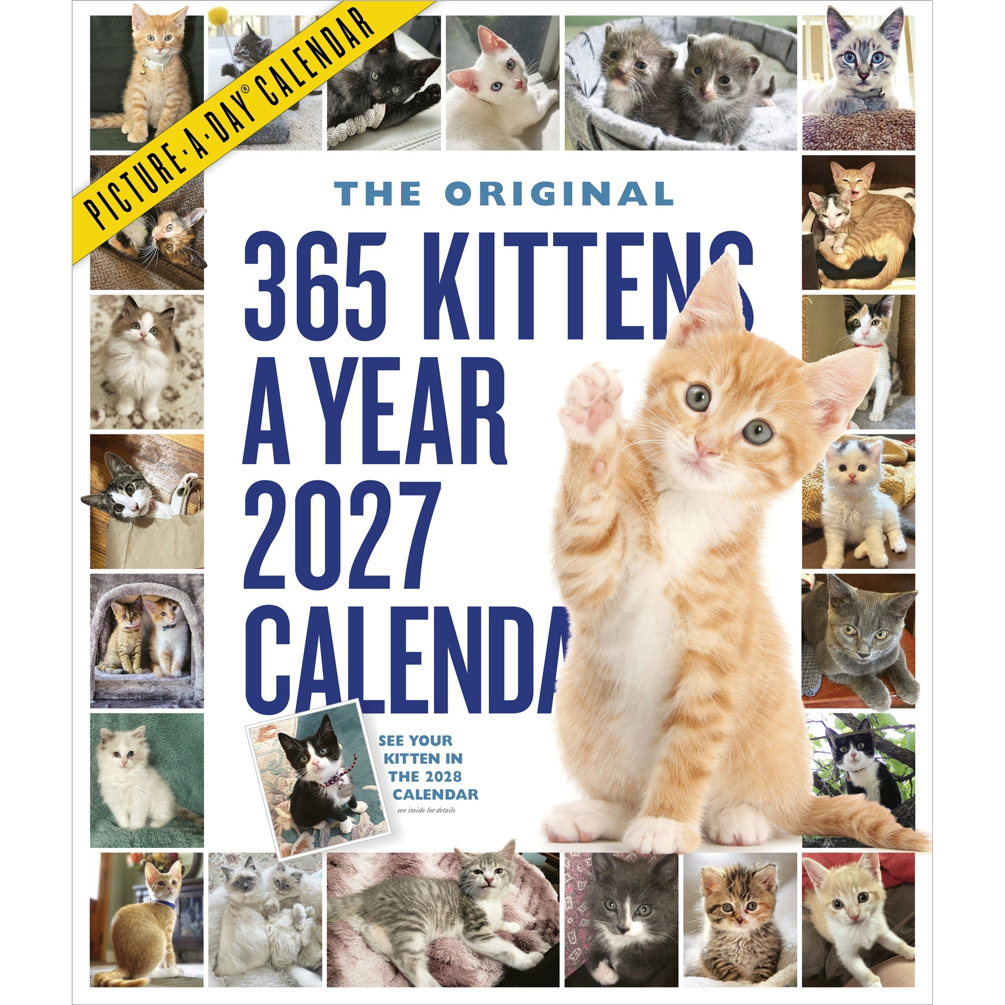 Calendrier Mural 365 Chatonniers par An 2027