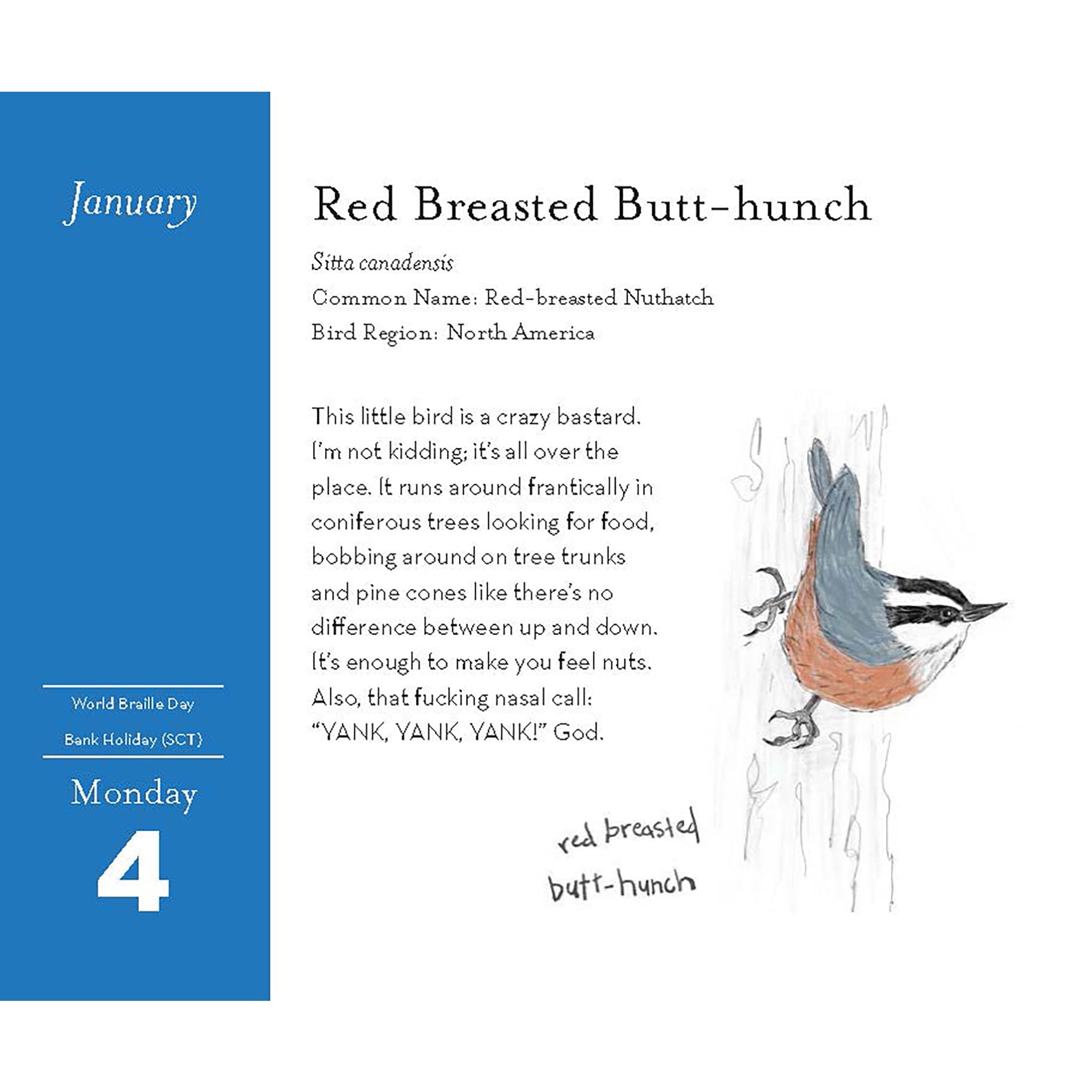 Field Guide to Dumb Birds 2027 Box Calendar