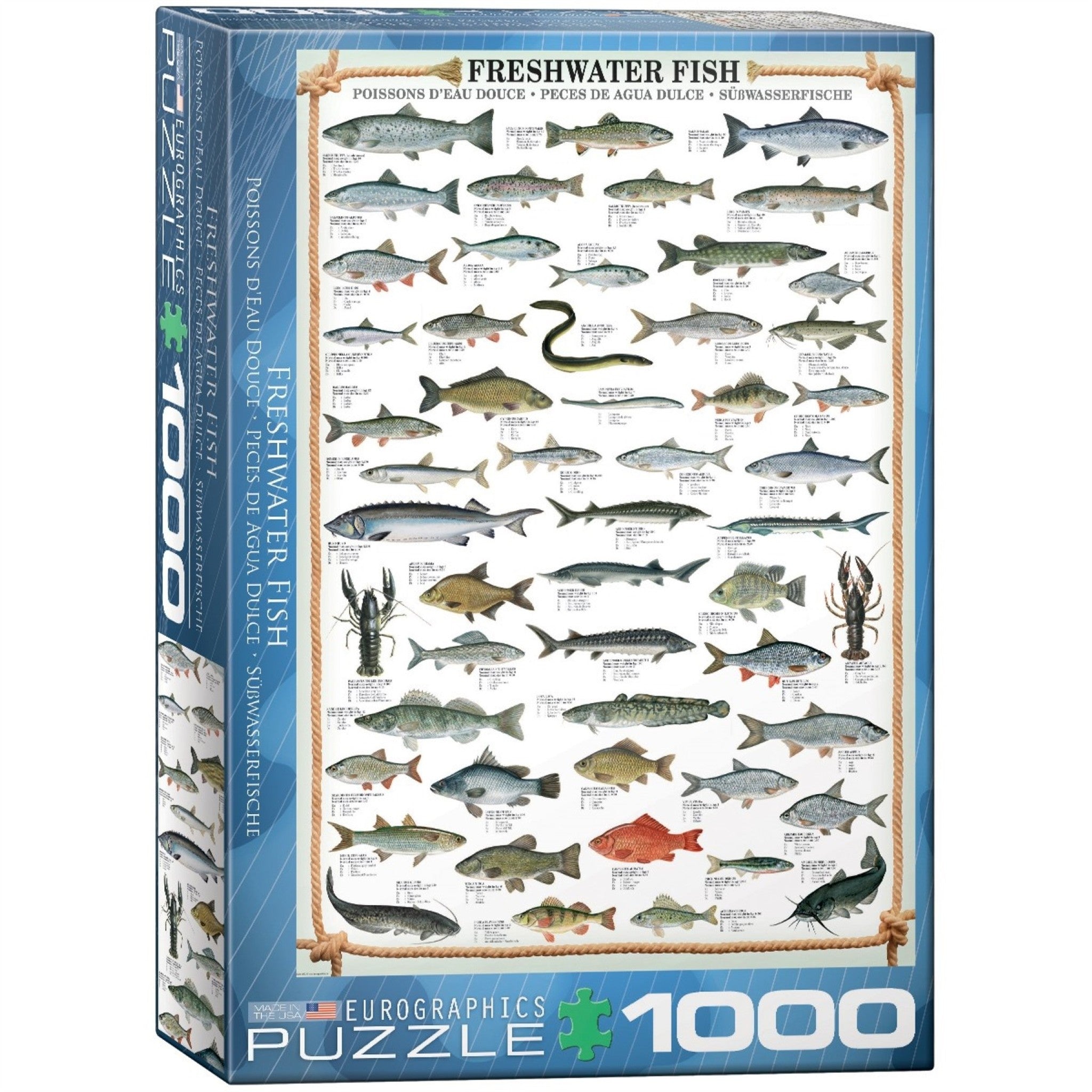 Puzzle de 1000 pièces sur le thème des poissons d'eau douce
