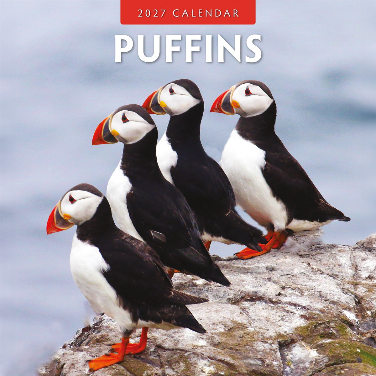 2027 calendar featuring puffins on a rock with a blurred ocean background