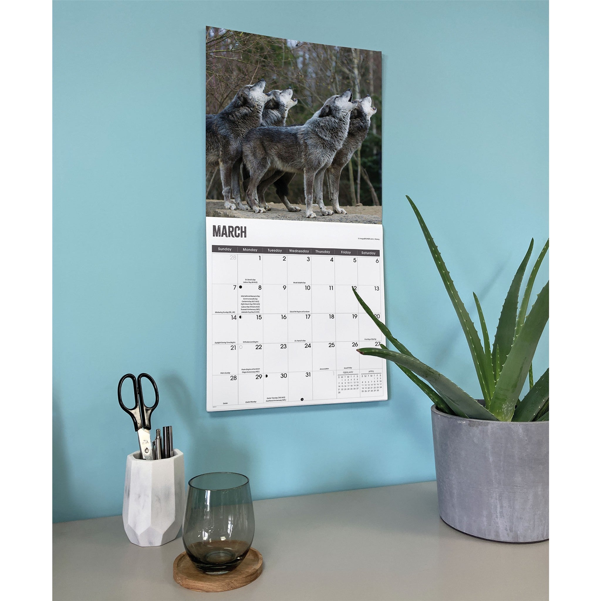 Calendrier mural Loups 2027