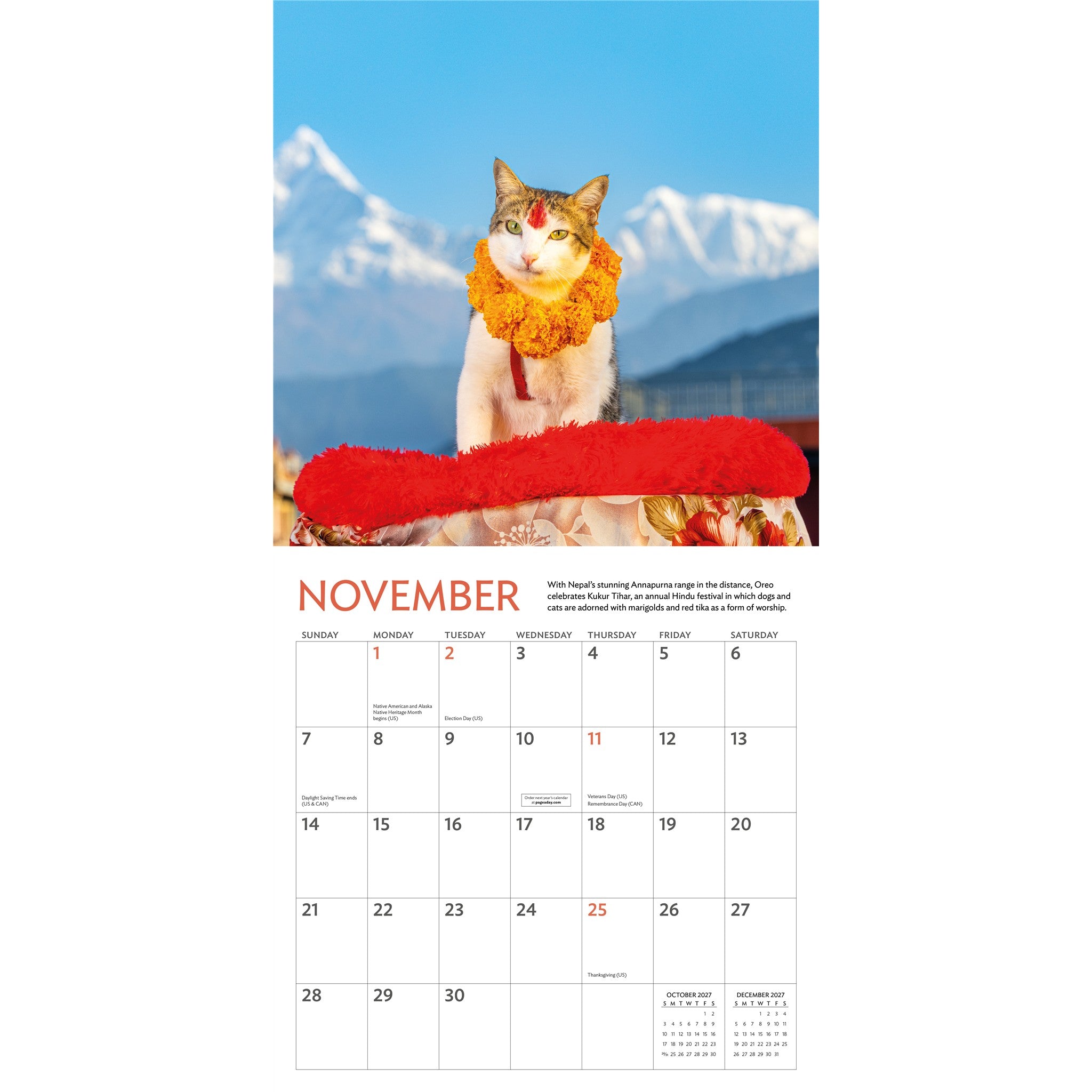 Cats of the World 2027 Wall Calendar - Online Only