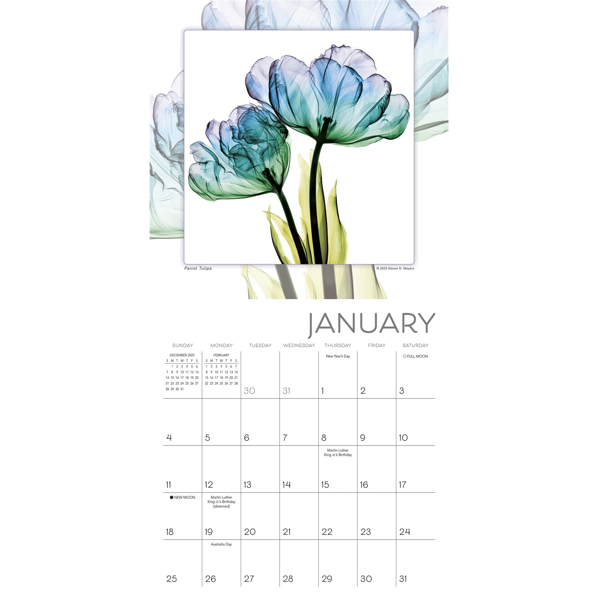 Flower Spirits 2026 Mini Calendar