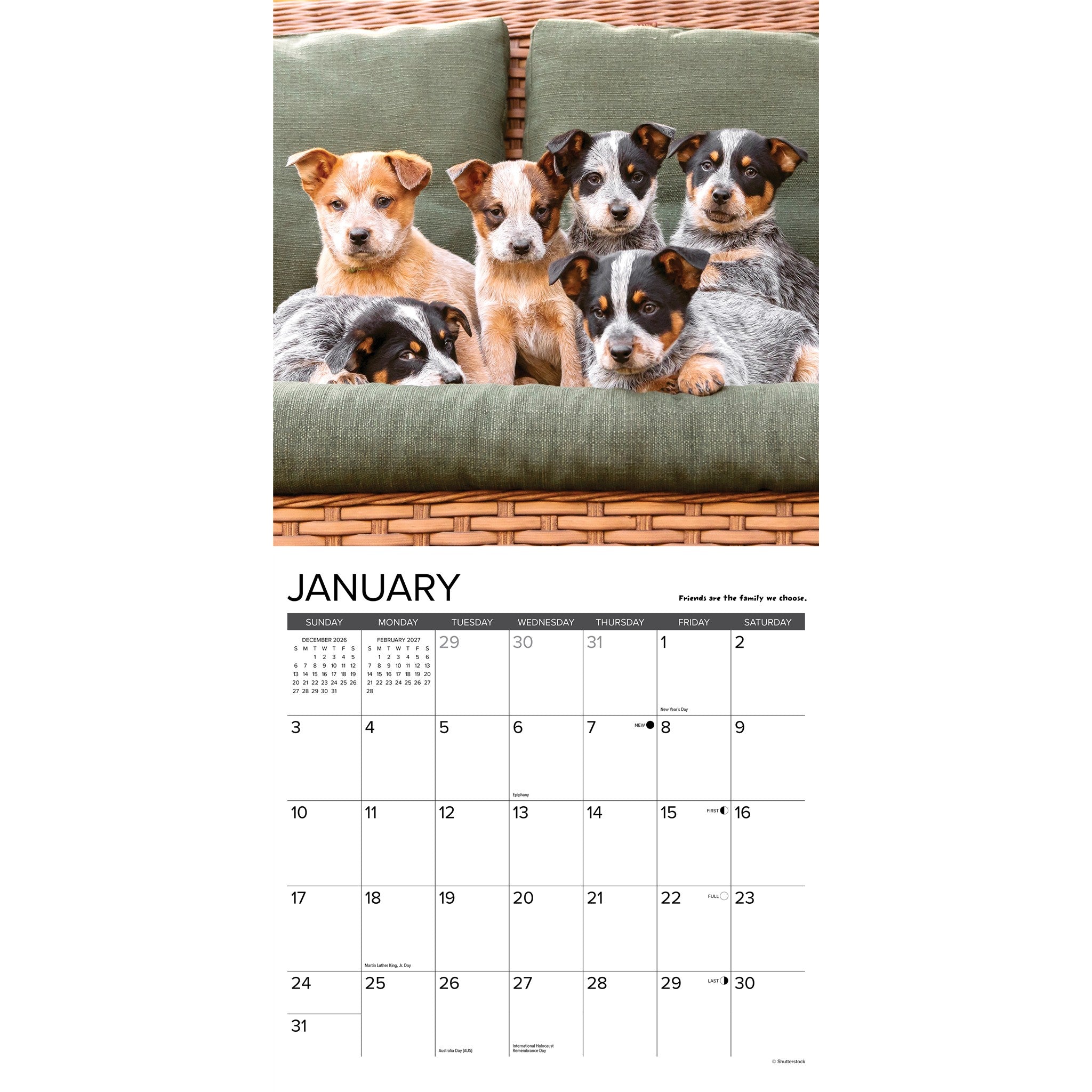 What Puppies Teach Us 2027 Wall Calendar