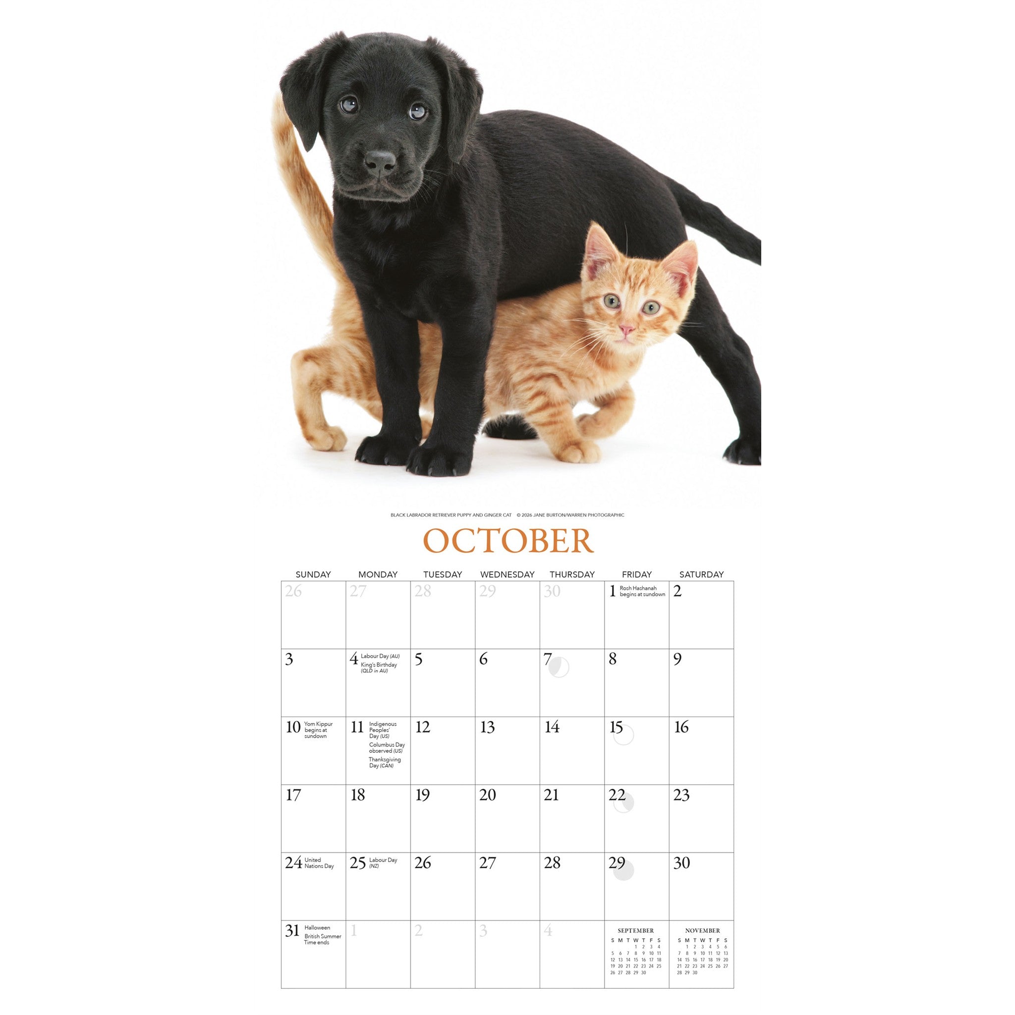 Mini-calendrier Chiots et amis 2027