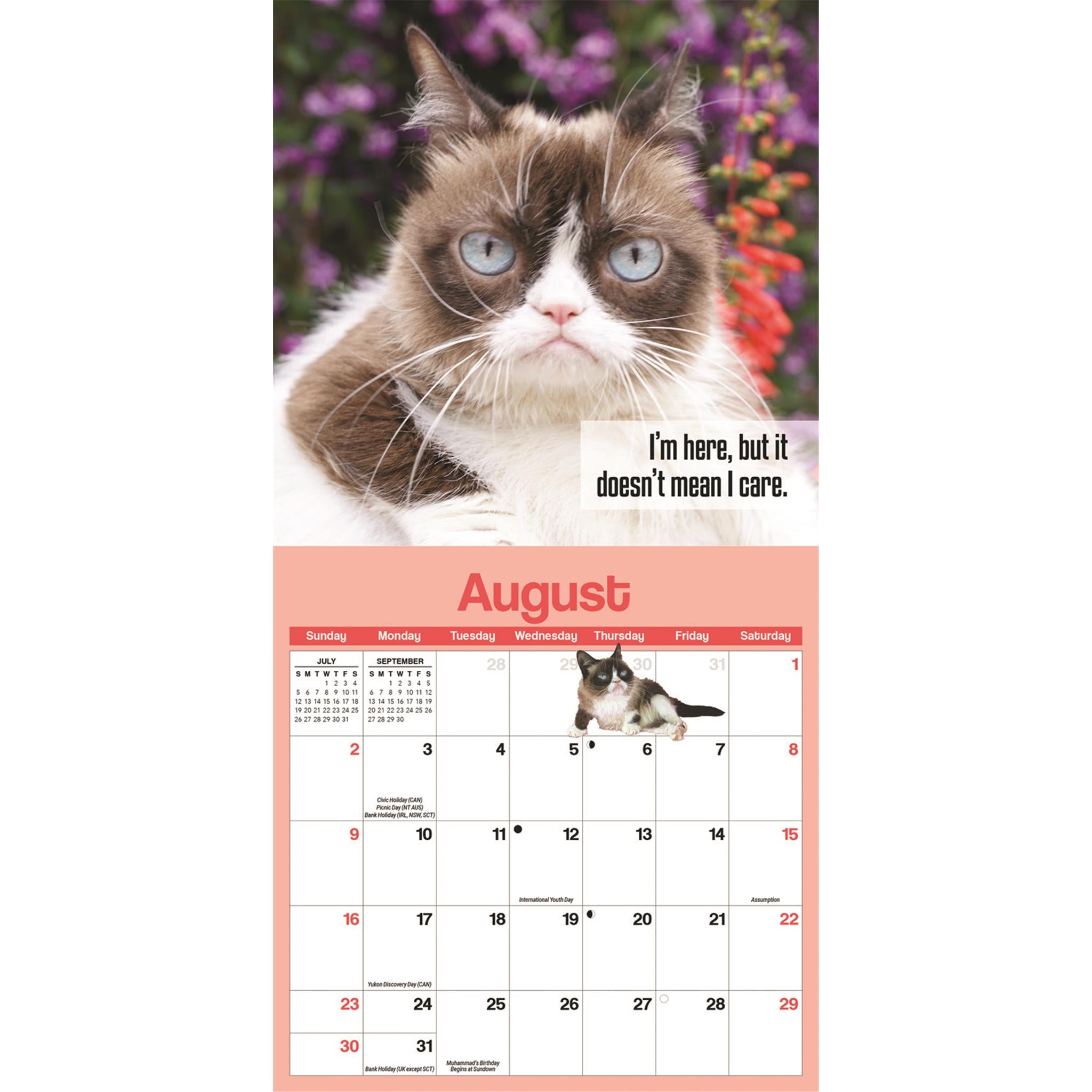 Mini calendrier Grumpy Cat 2026
