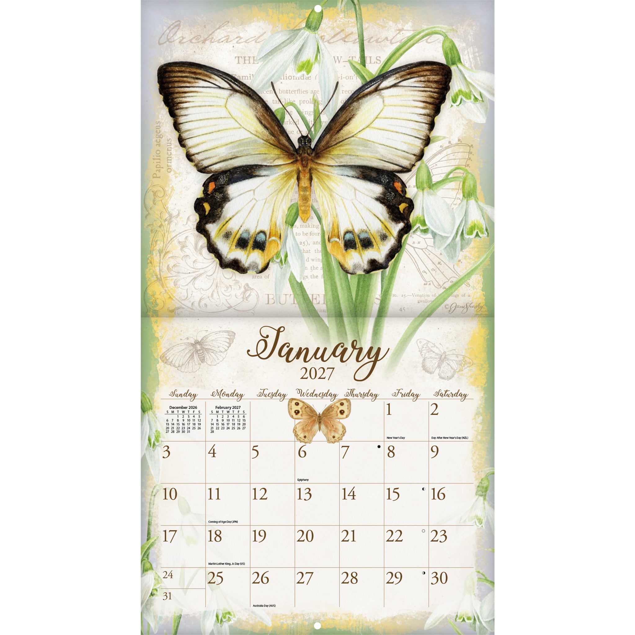 Butterflies 2027 Wall Calendar - Online Only
