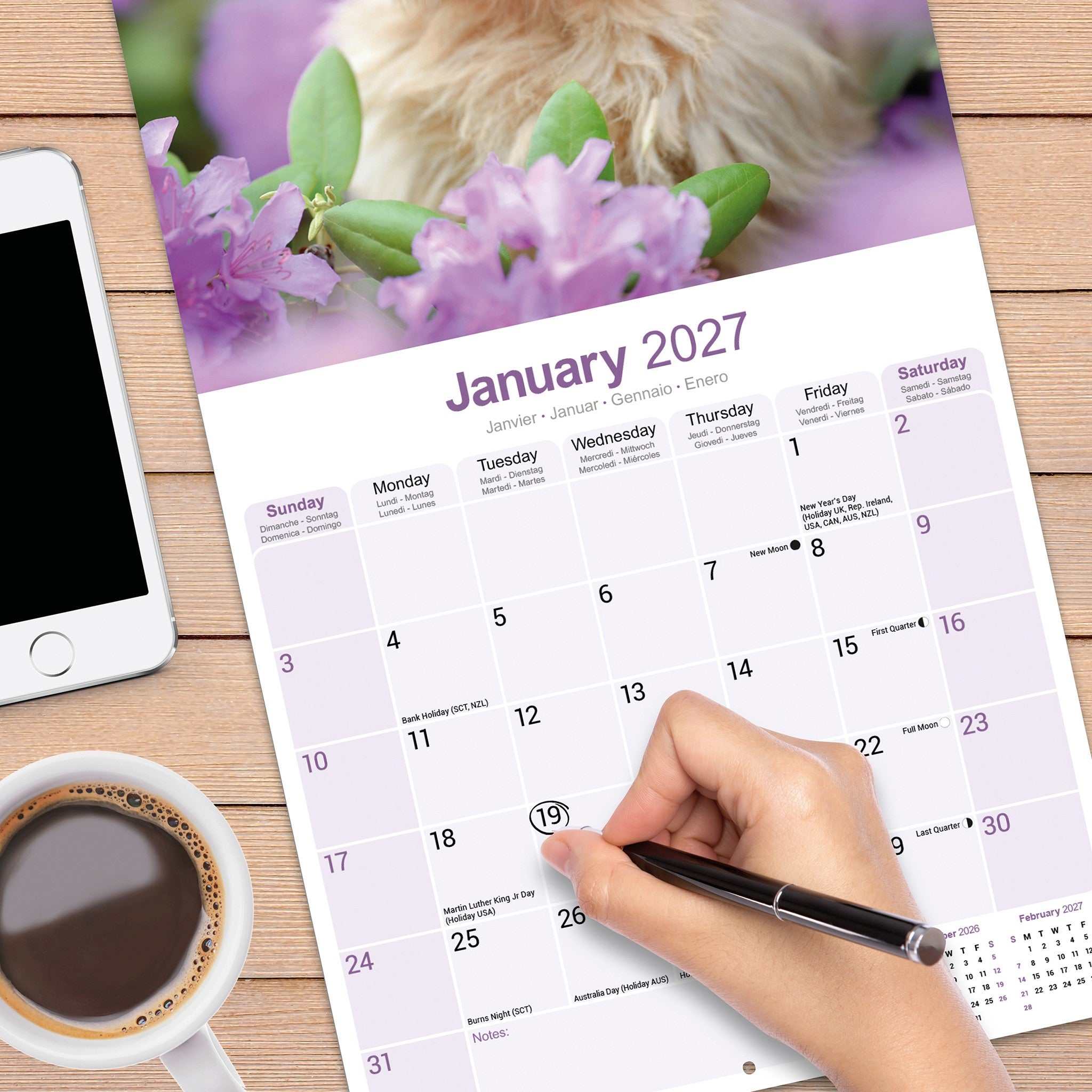 Norwich/Norfolk Terrier 2027 Wall Calendar - Online Only
