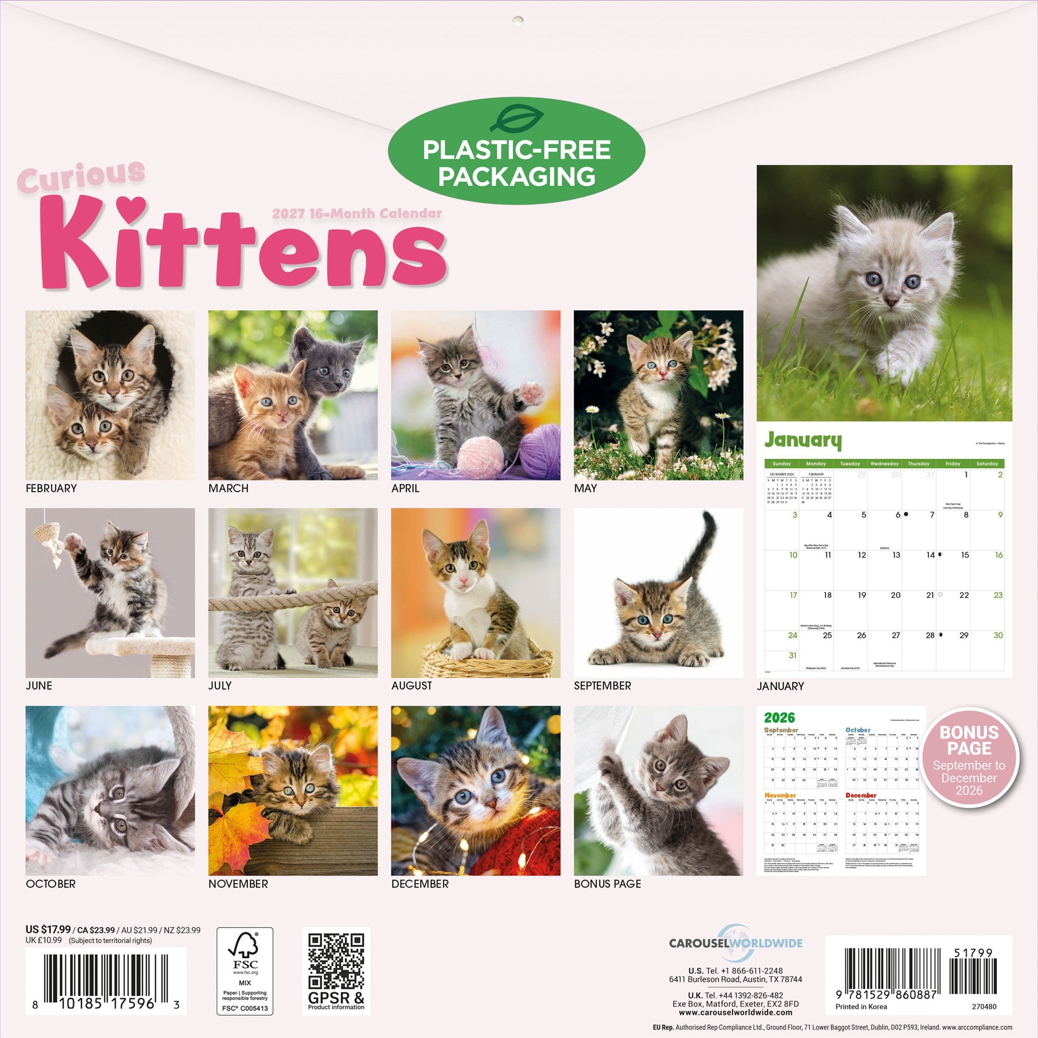 Calendrier mural 2027 Chaton curieux