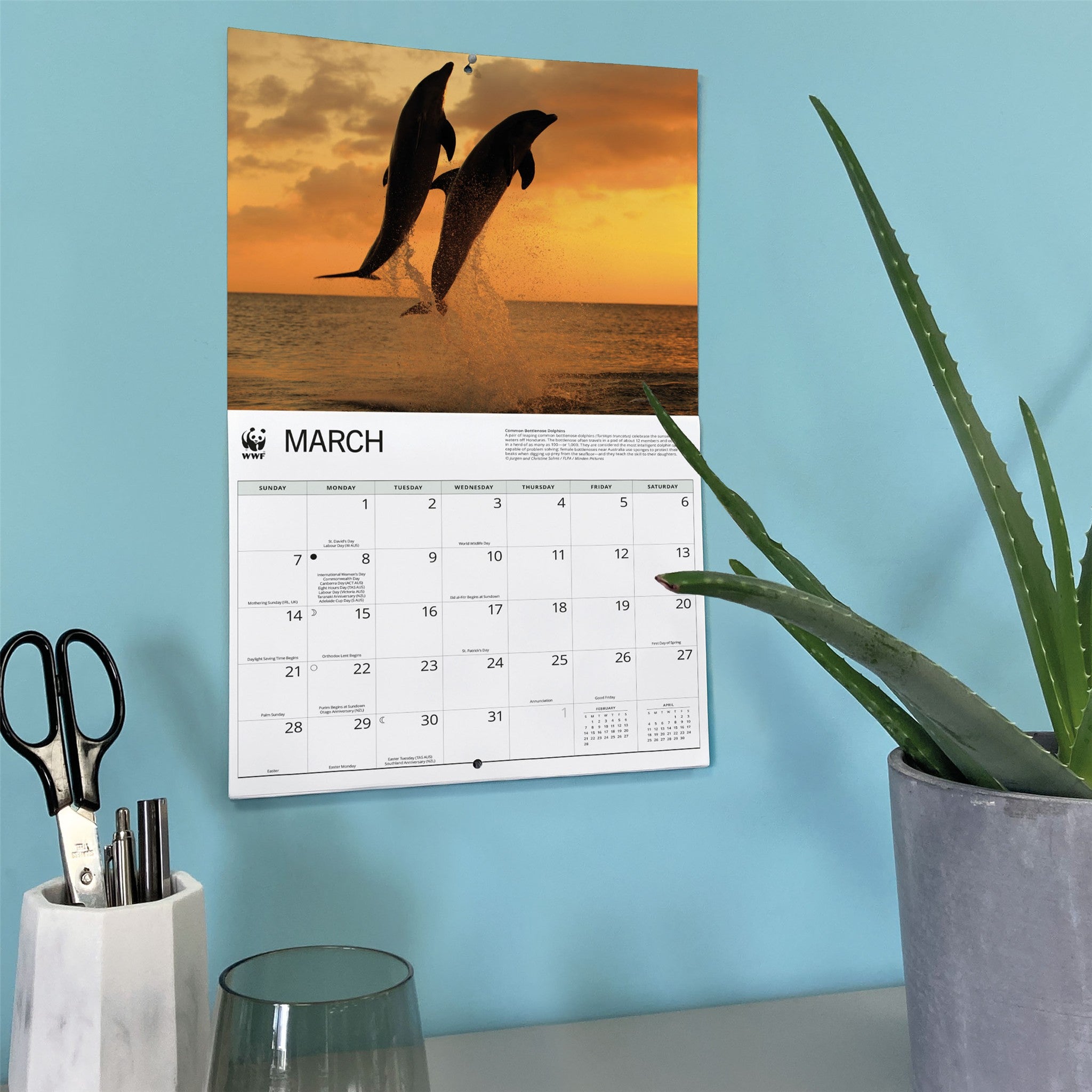 Calendrier mural 2027 Dauphins - WWF