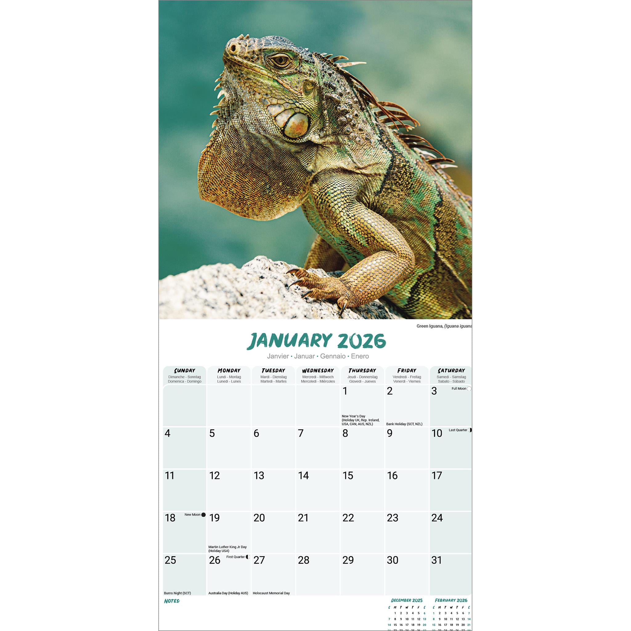 Calendrier mural Lézards 2026