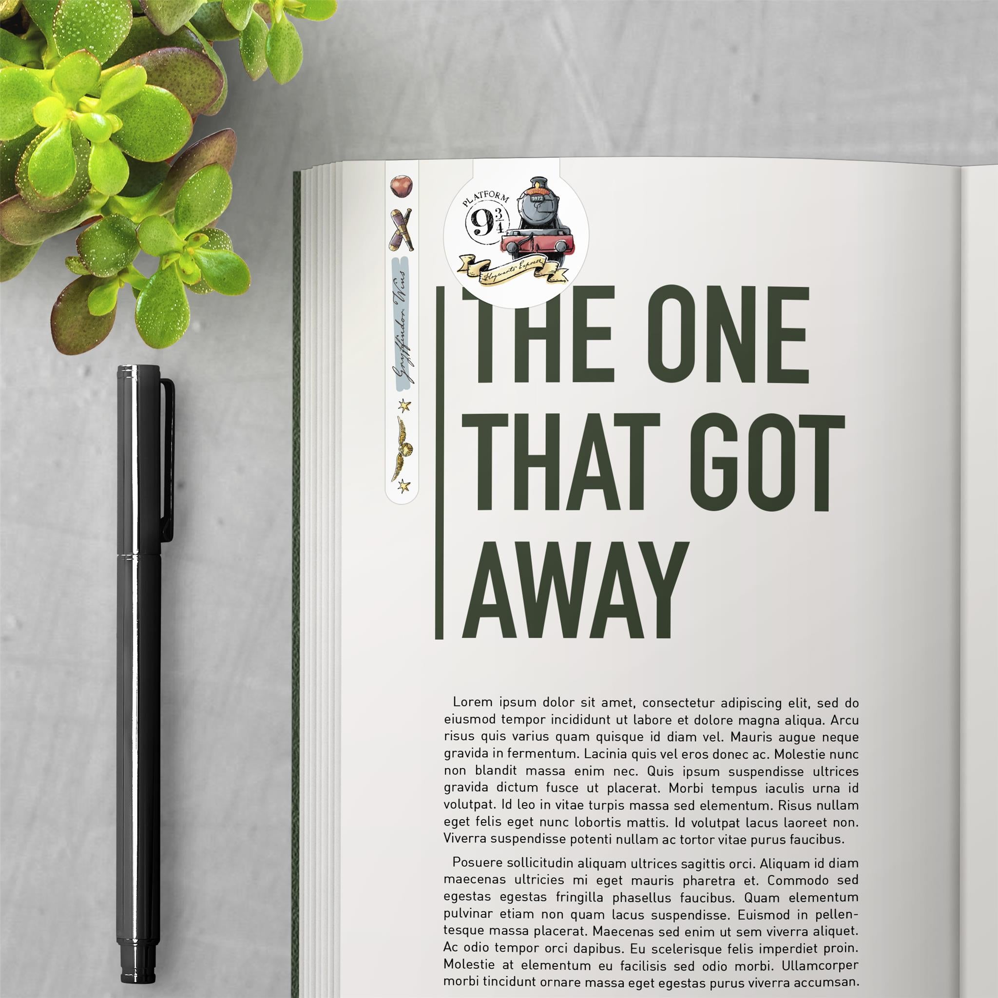 Pinces magnétiques Harry Potter