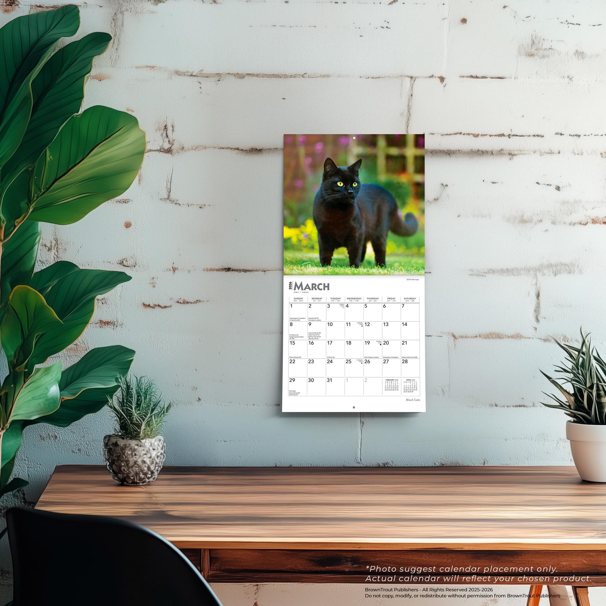 Black Cats 2026 Mini Calendar