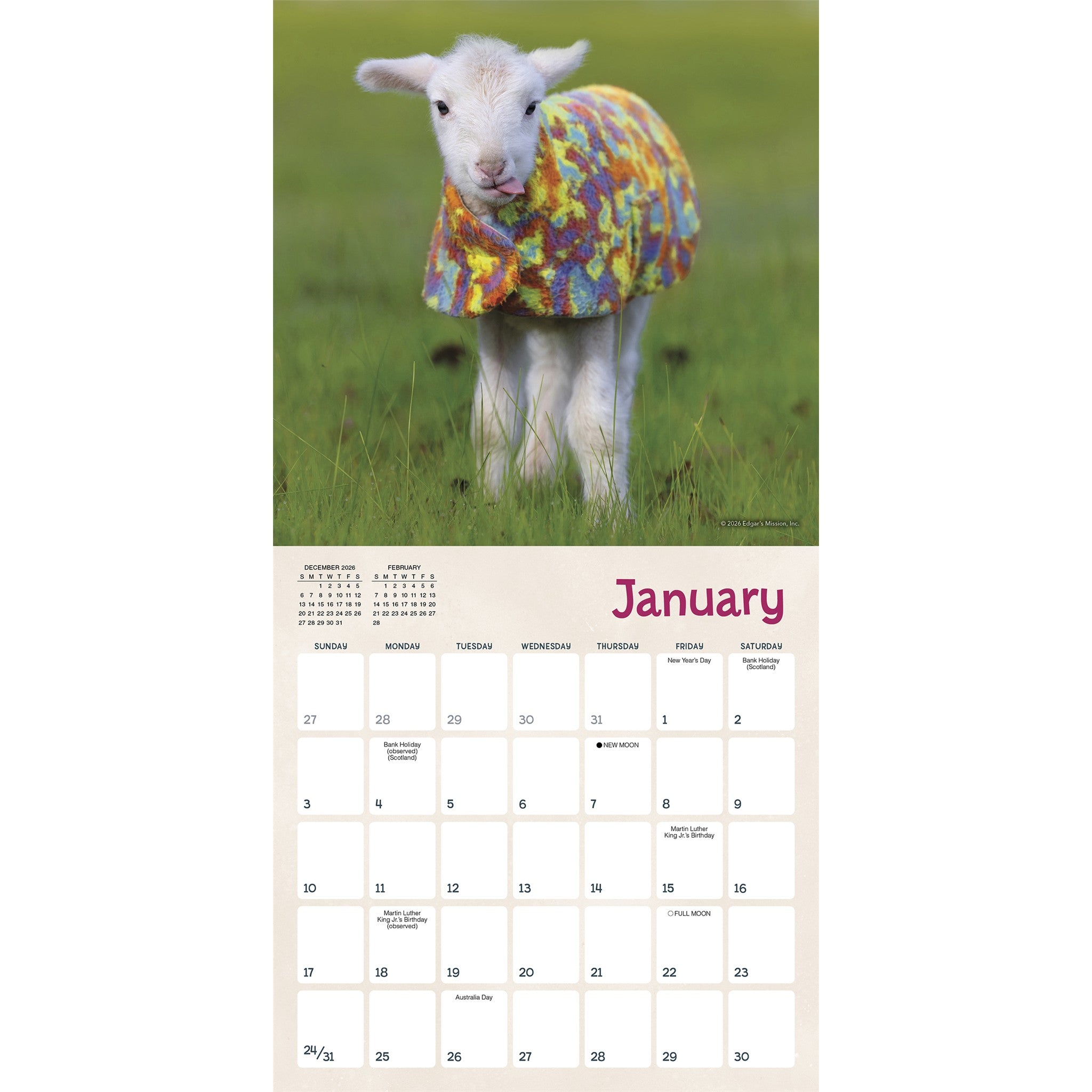 Lambies in Jammies & Goats in Coats 2027 Mini Calendar