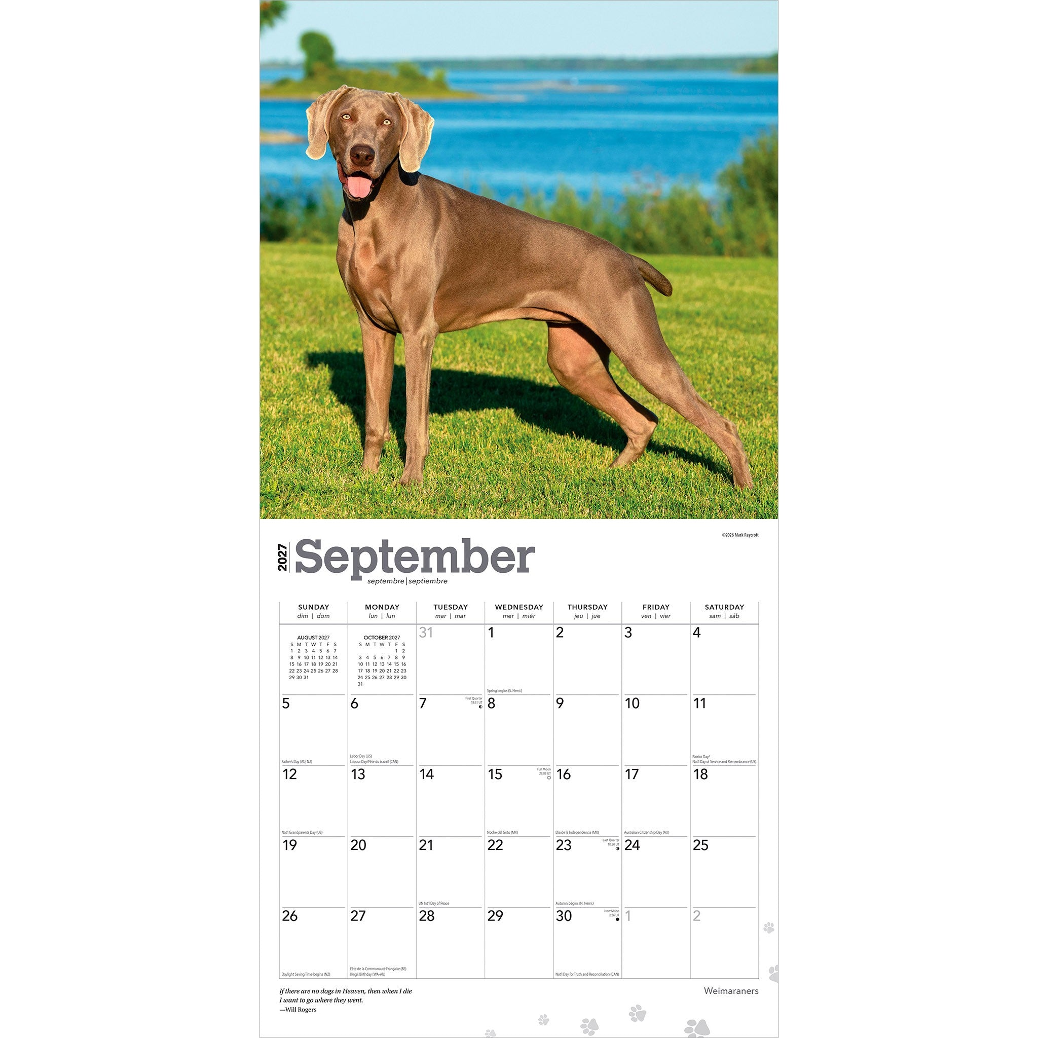 Weimaraners 2027 Wall Calendar