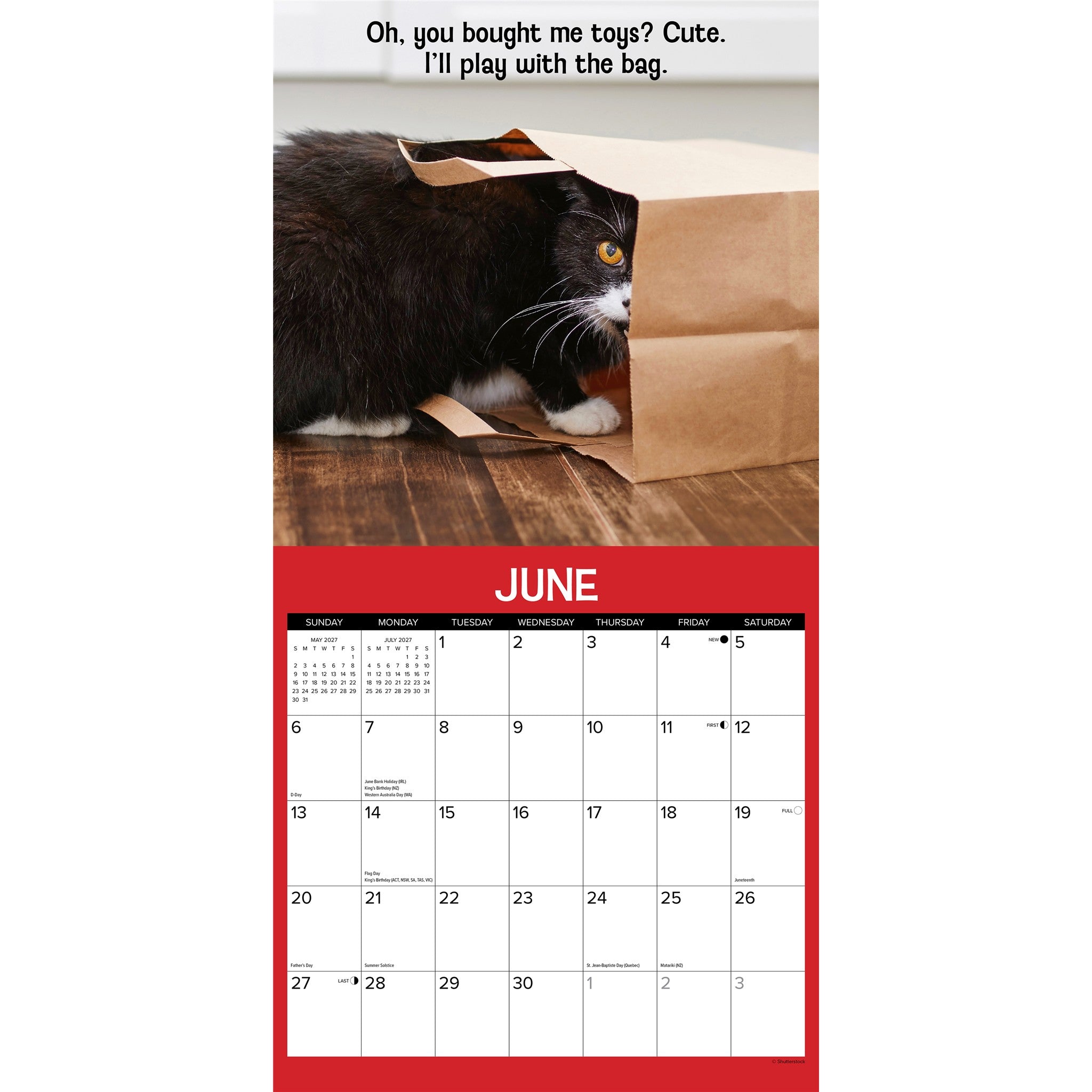 Cattitudes 2027 Wall Calendar
