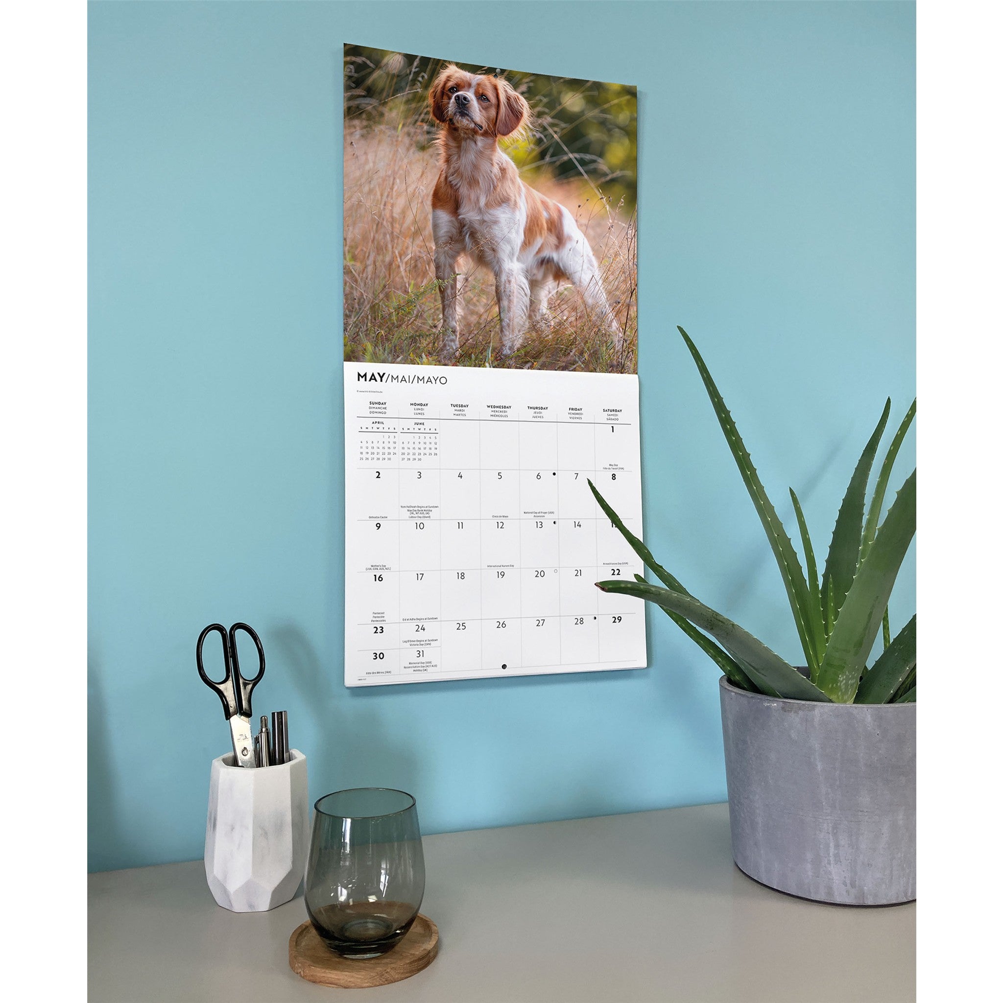 Calendrier mural Brittanys 2027