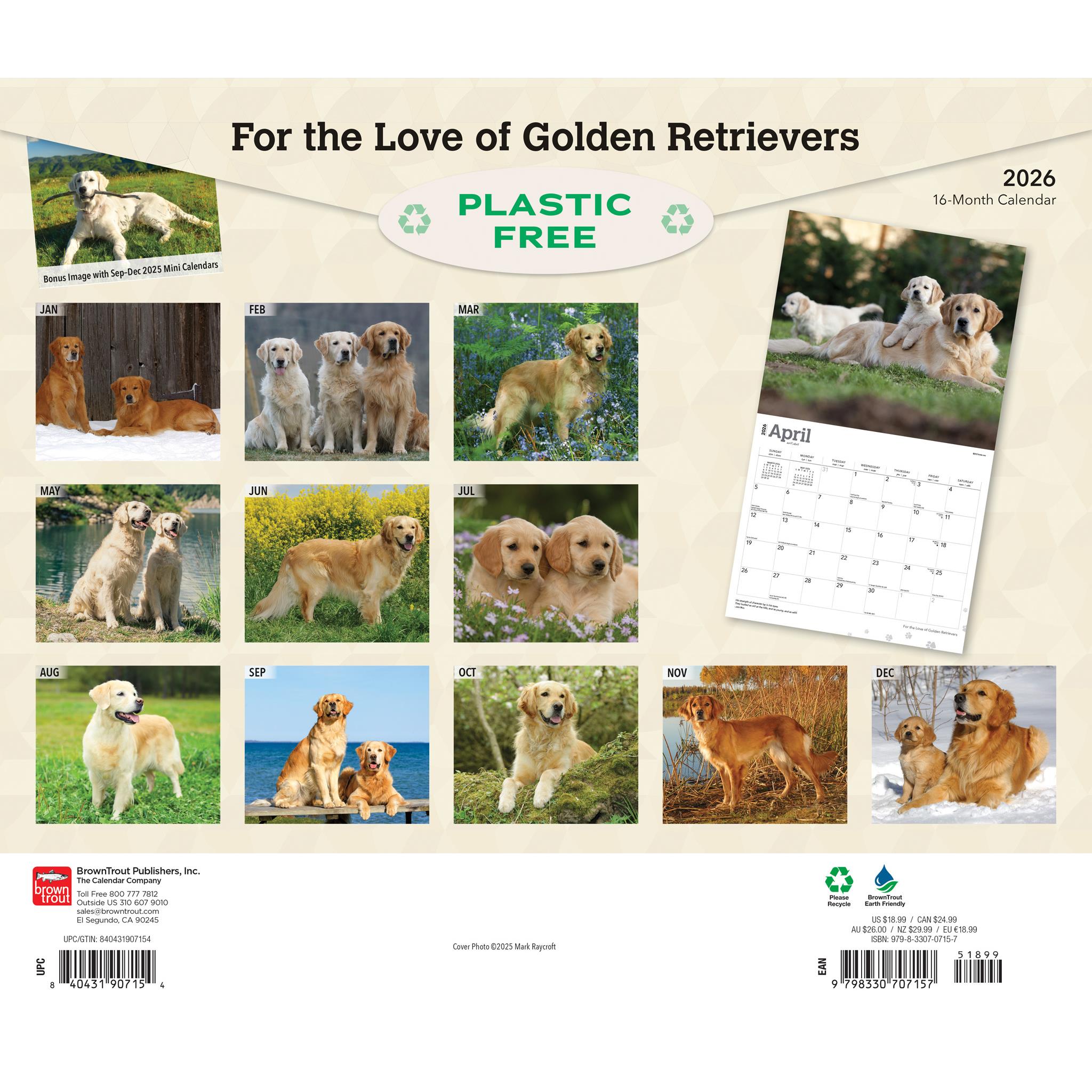 Calendrier mural 2026 « Pour l’amour des Golden Retrievers »
