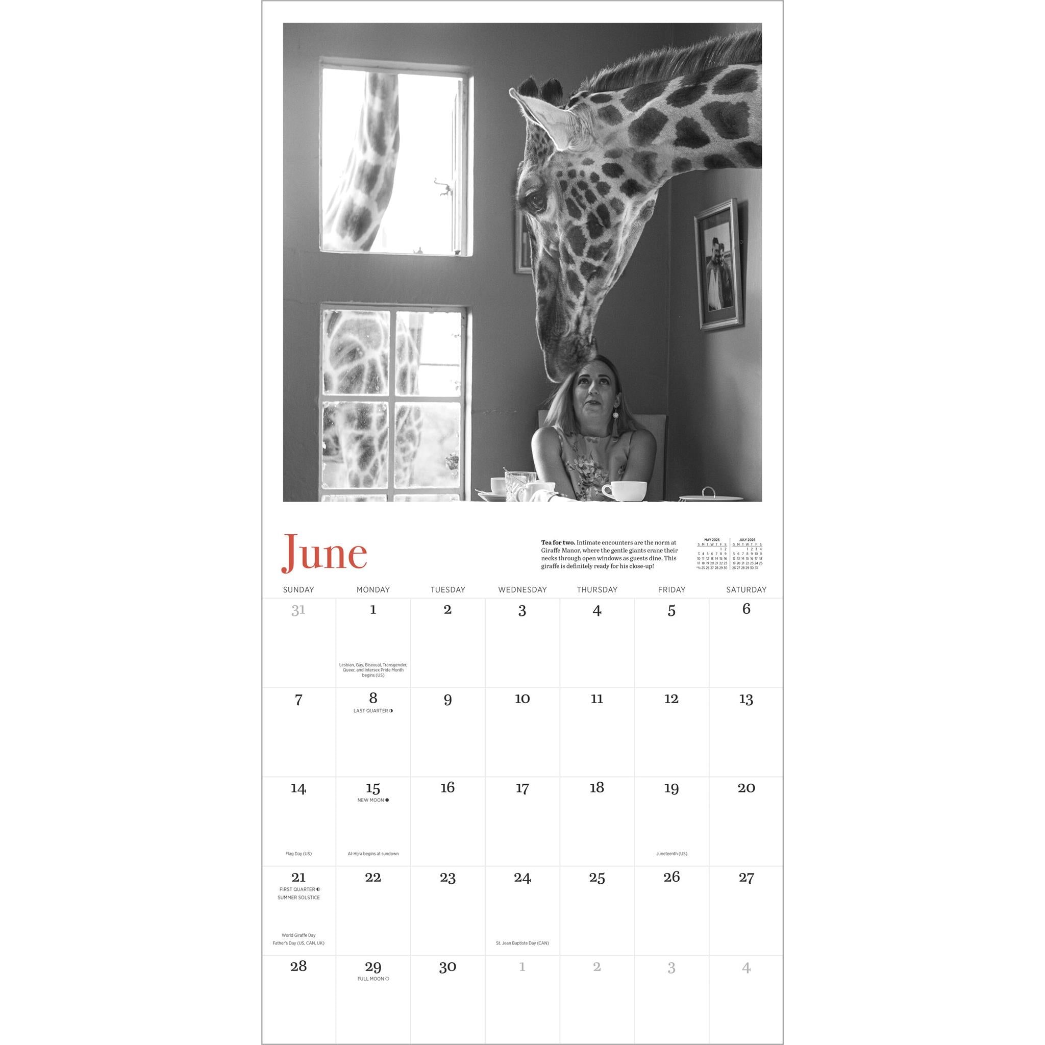Calendrier mural Giraffe Manor 2026 - Disponible uniquement en ligne
