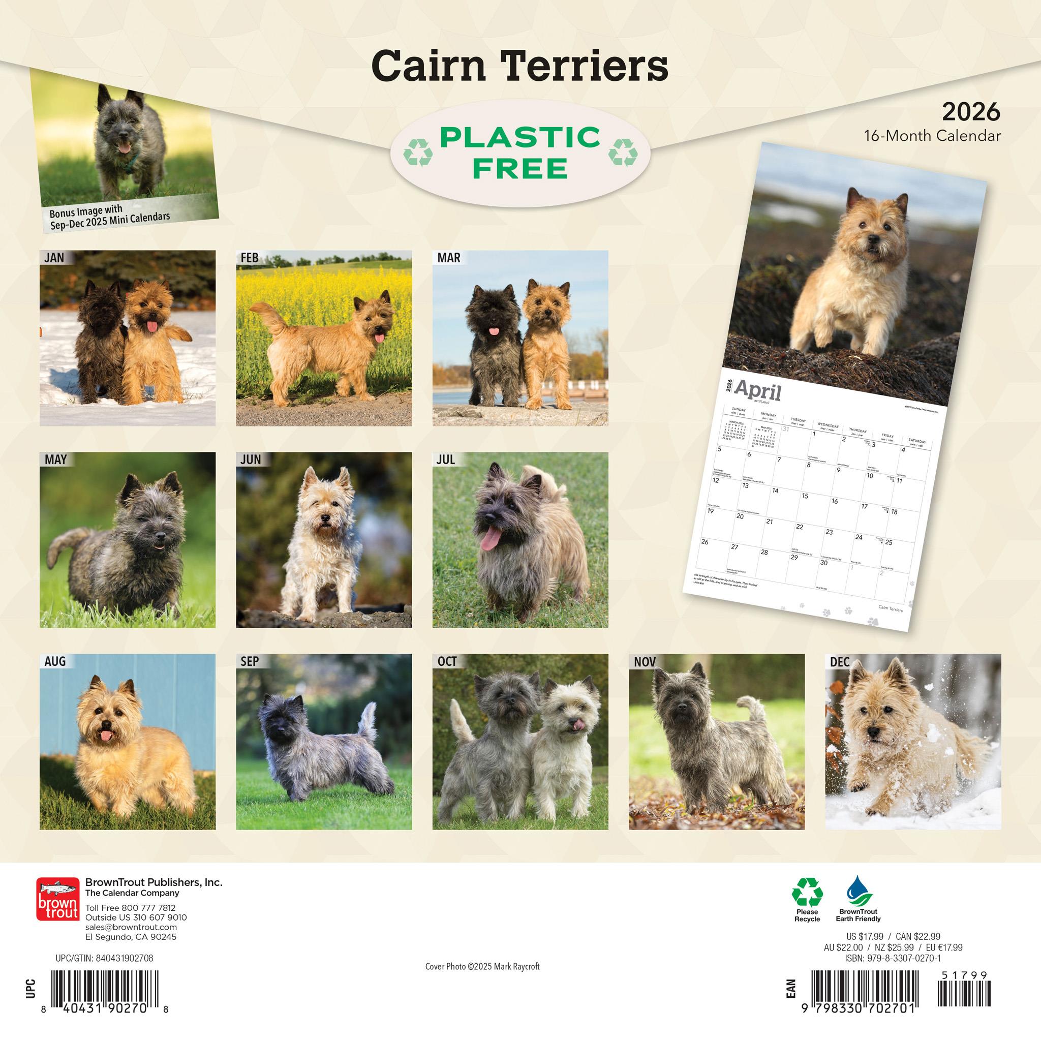 Calendrier mural Cairn Terriers 2026