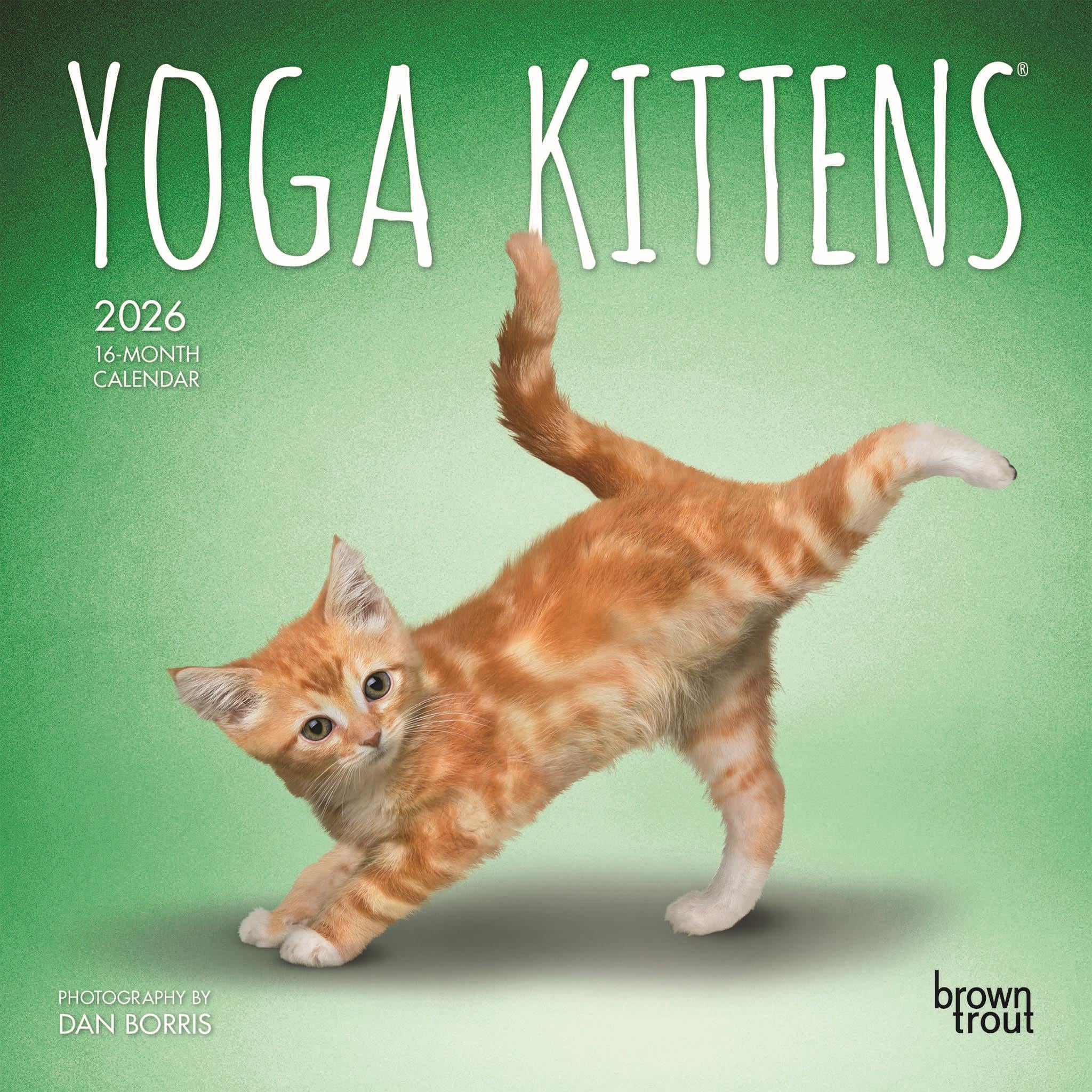 Mini calendrier Yoga Kittens 2026