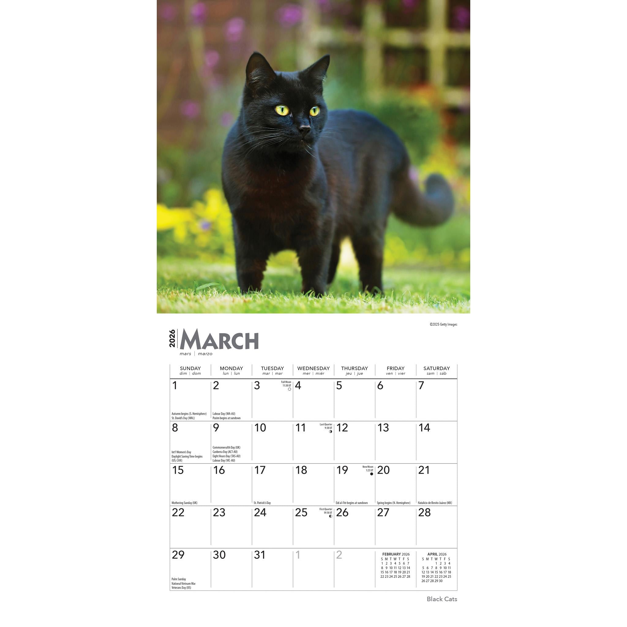 Black Cats 2026 Mini Calendar